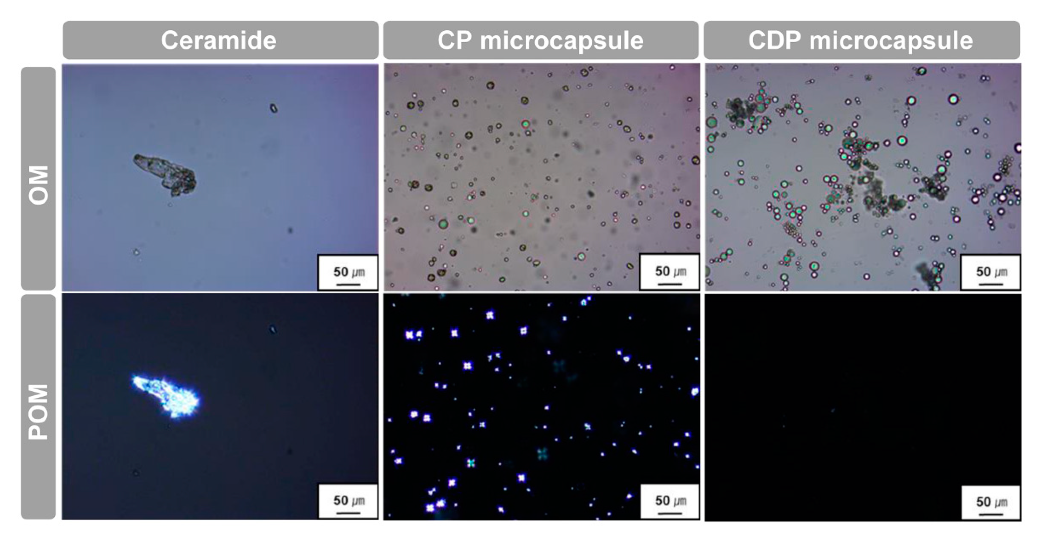 Polymers 12 02166 g005