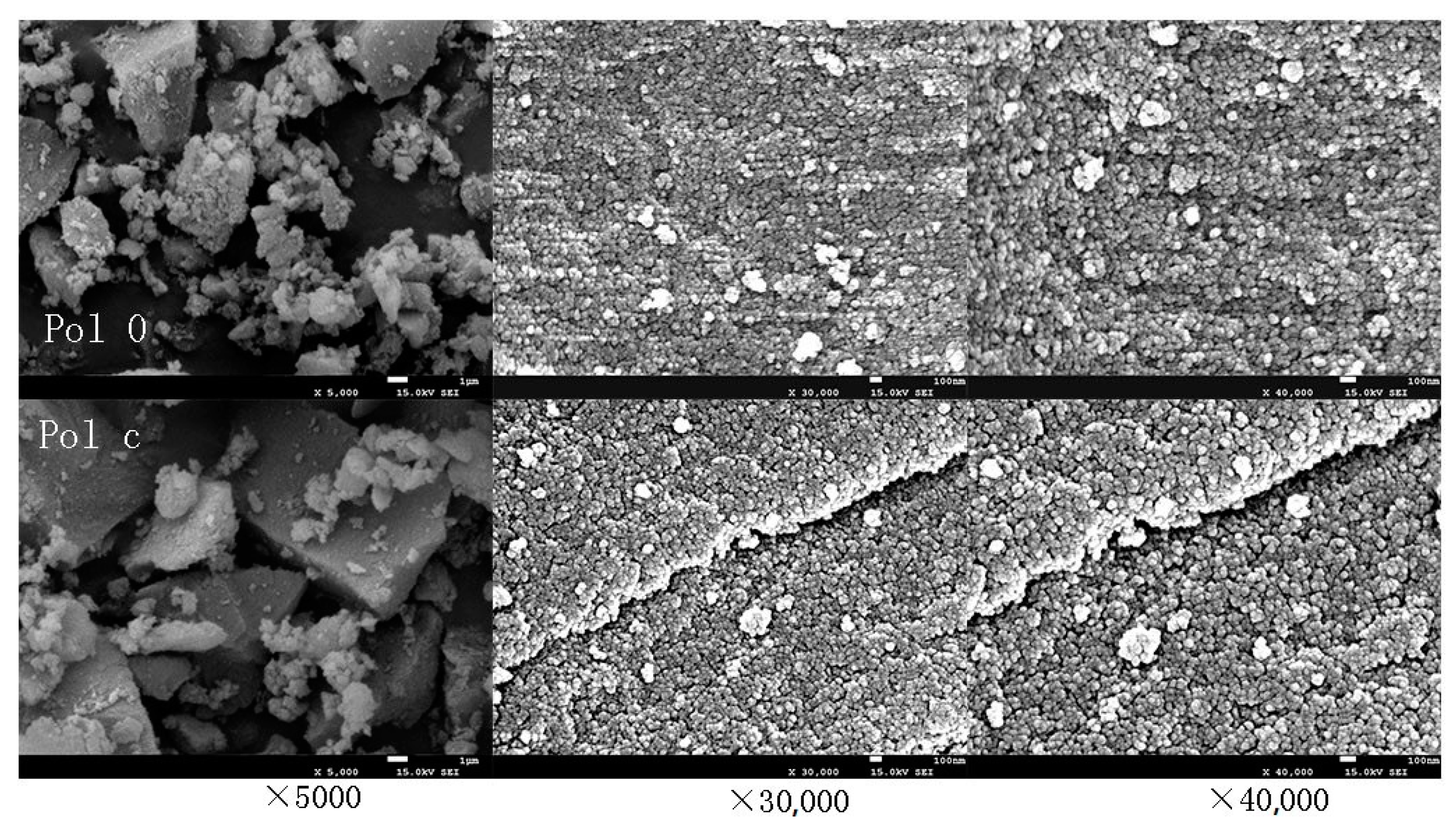 Polymers 12 02171 g005