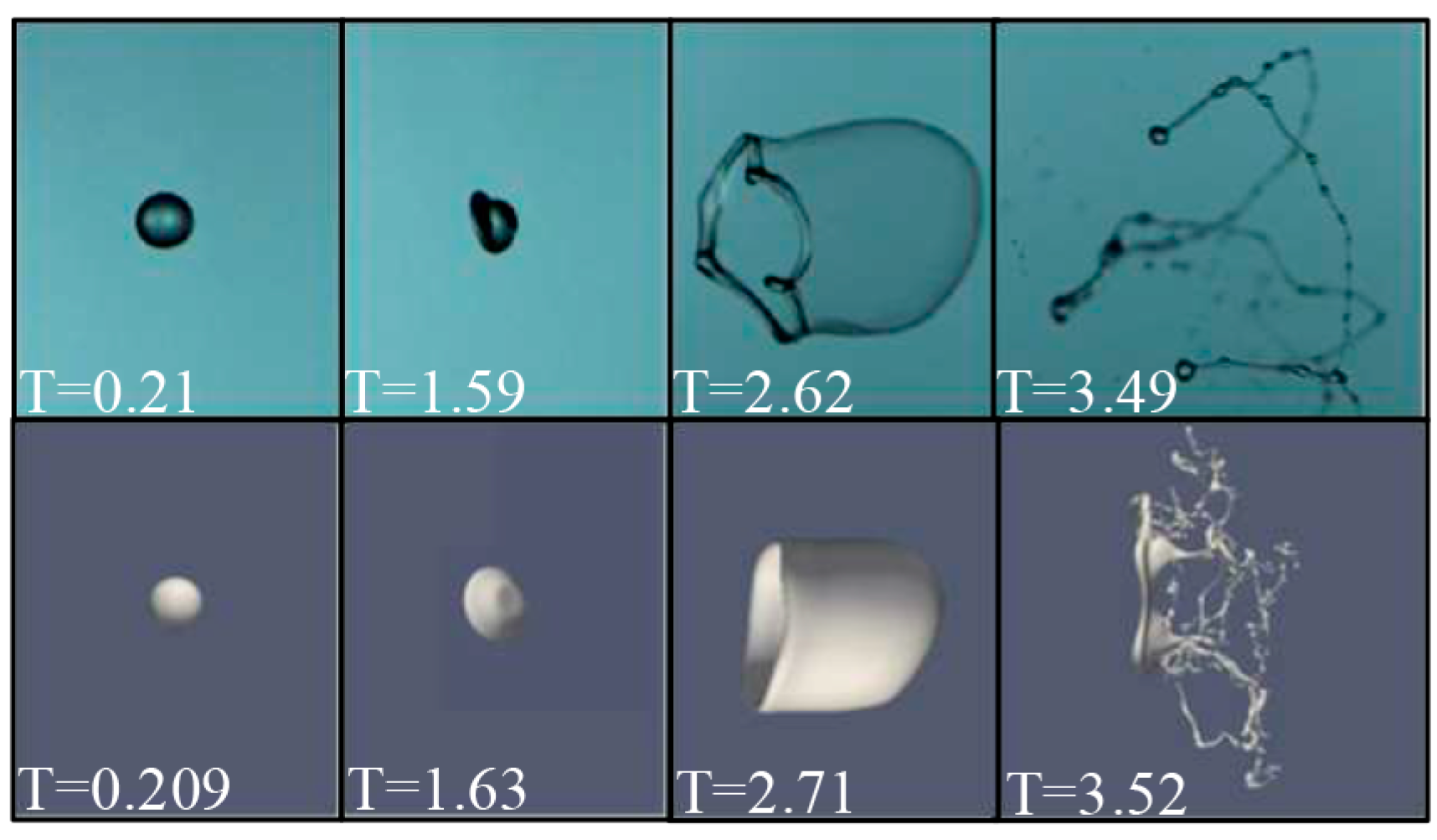 Polymers 12 02172 g006