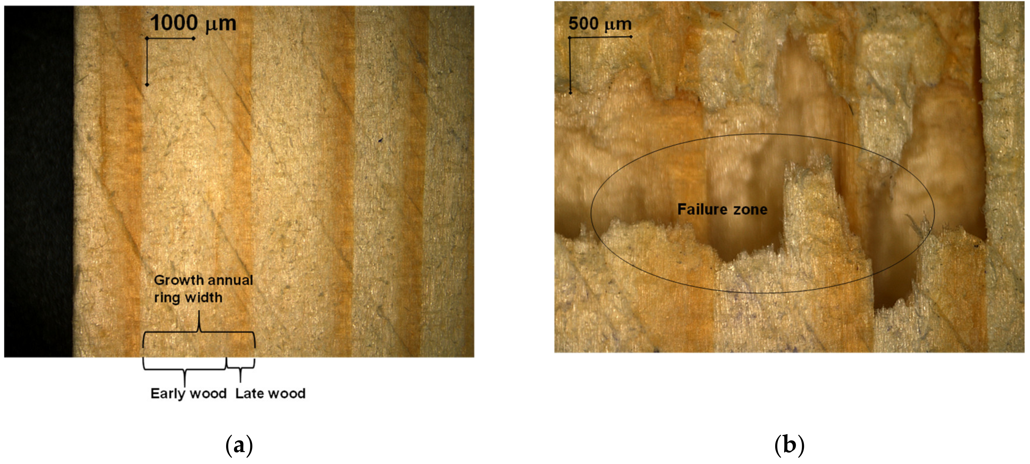 Polymers 12 02176 g010a
