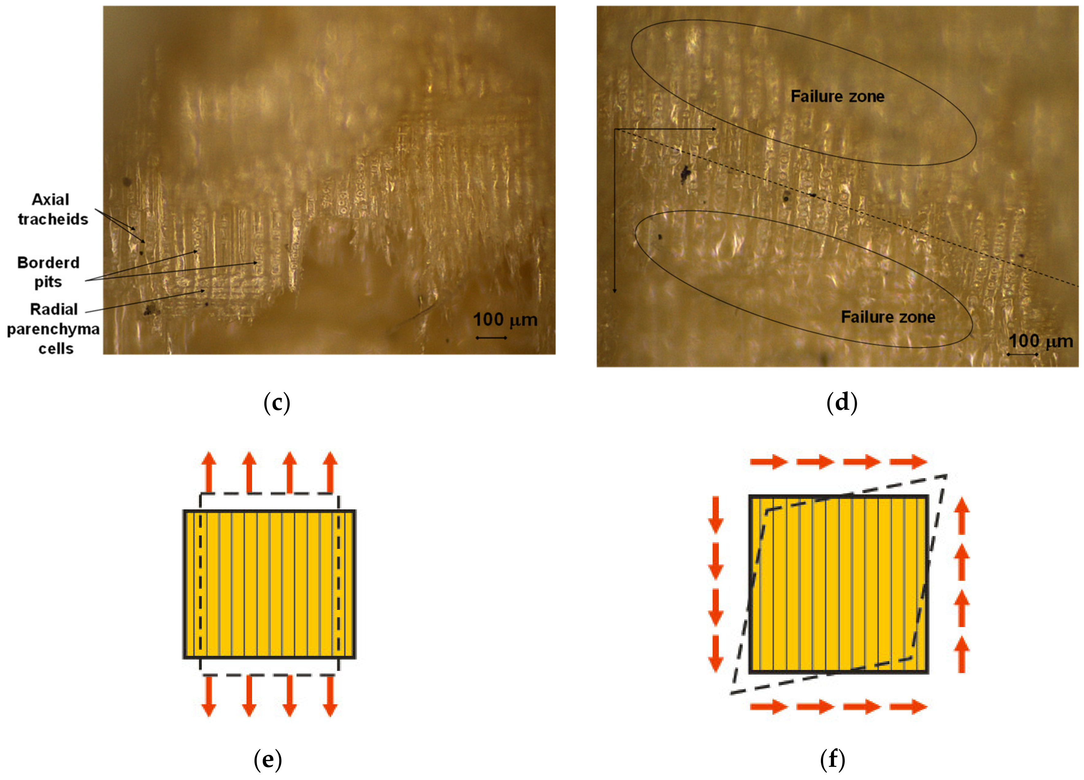 Polymers 12 02176 g010b