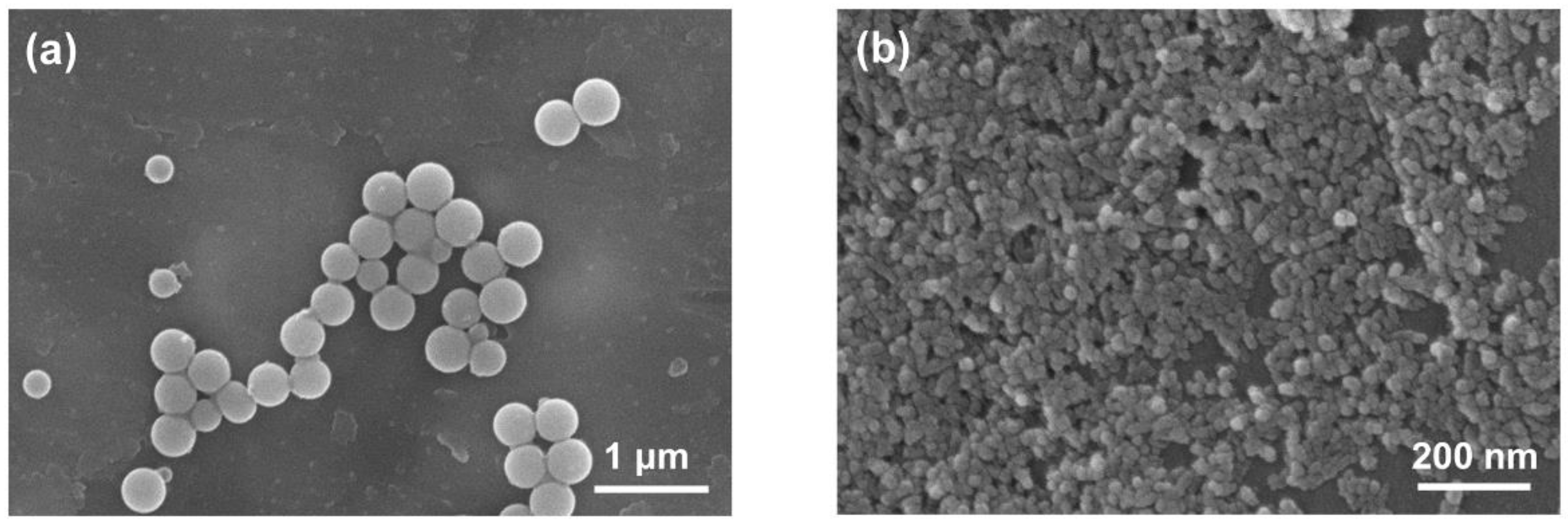 Polymers 12 02178 g003 Polymers 12 02178 g003