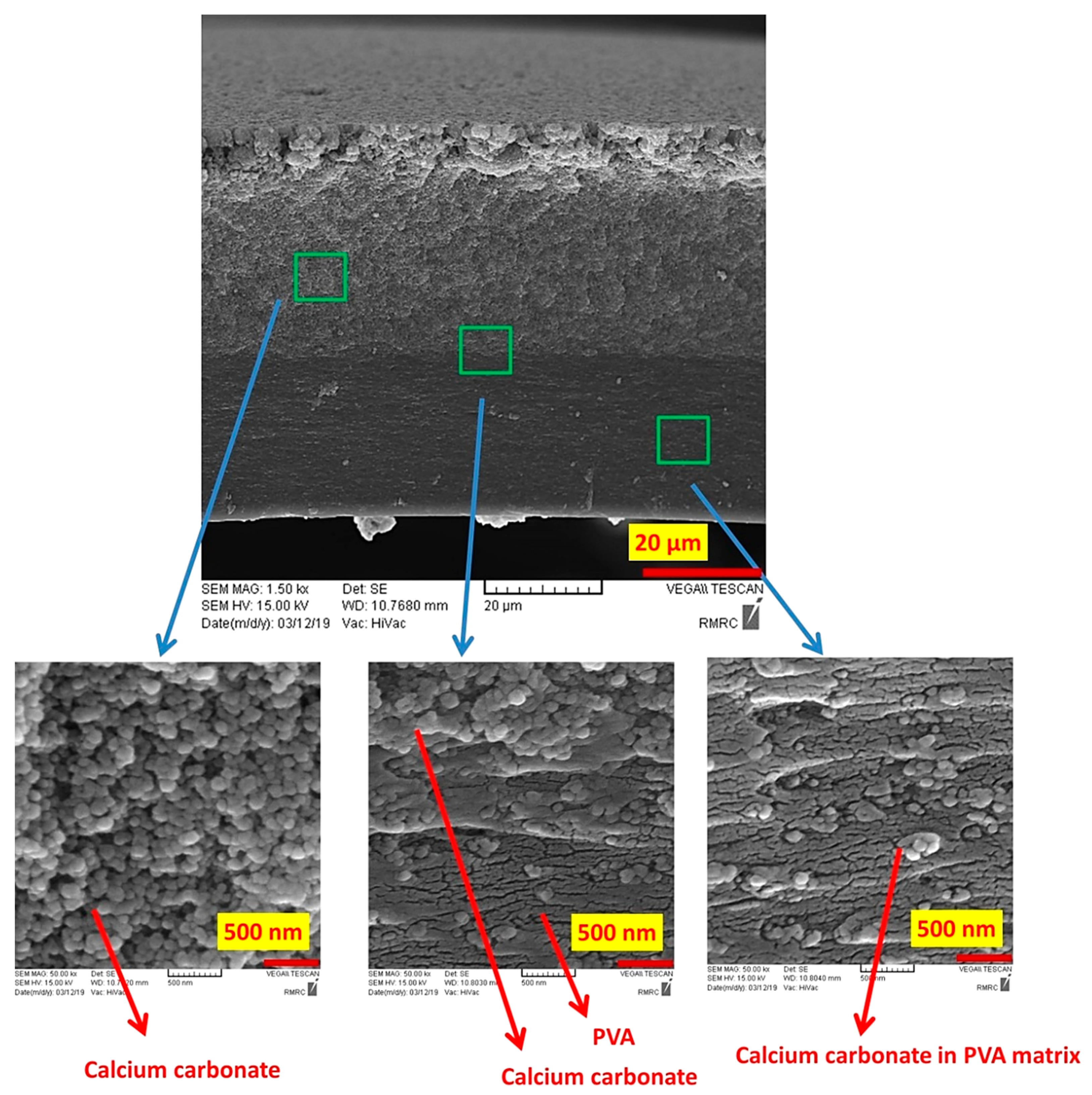 Polymers 12 02179 g003