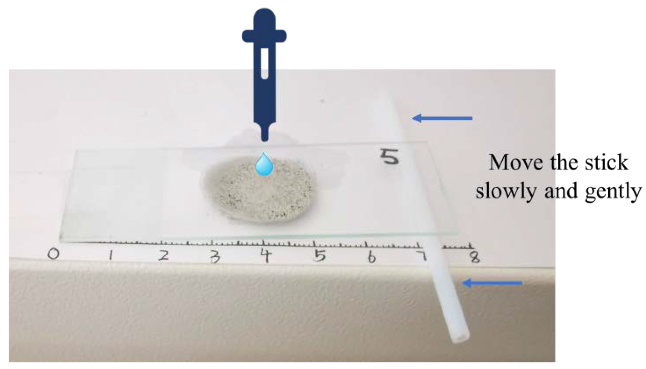 Polymers 12 02187 g002