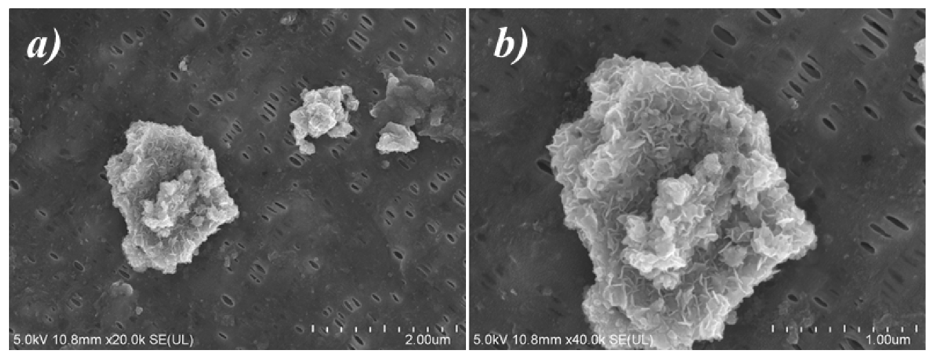 Polymers 12 02192 g006