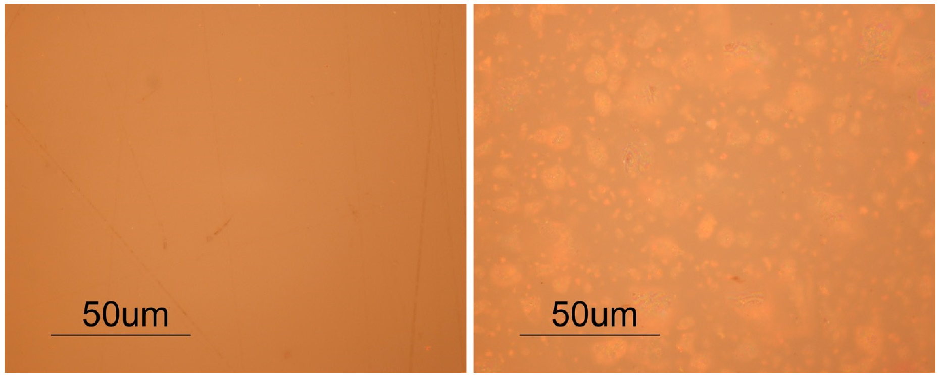 Polymers 12 02198 g002 Polymers 12 02198 g002