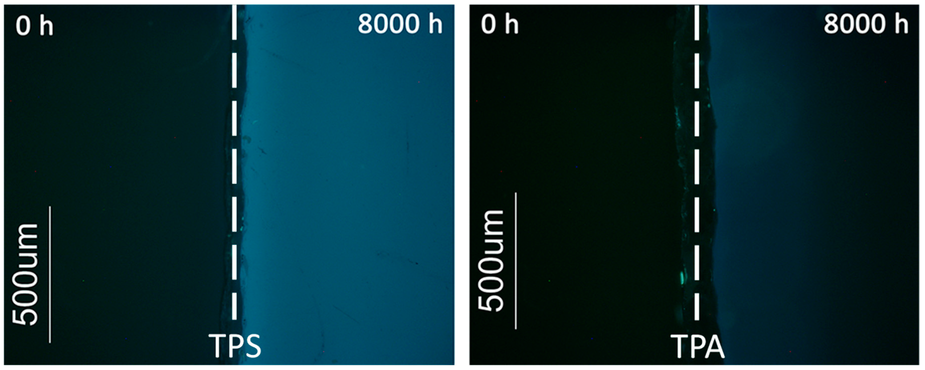 Polymers 12 02198 g010 Polymers 12 02198 g010
