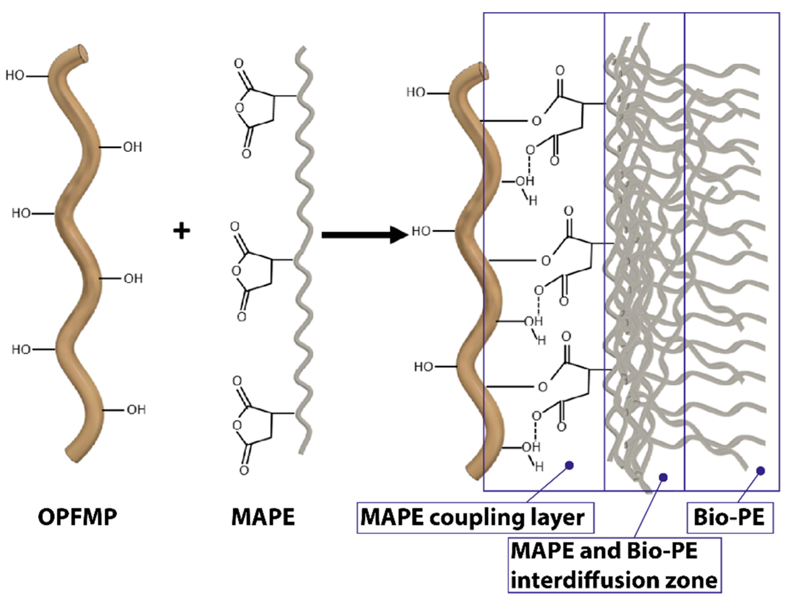 Polymers 12 02206 g002