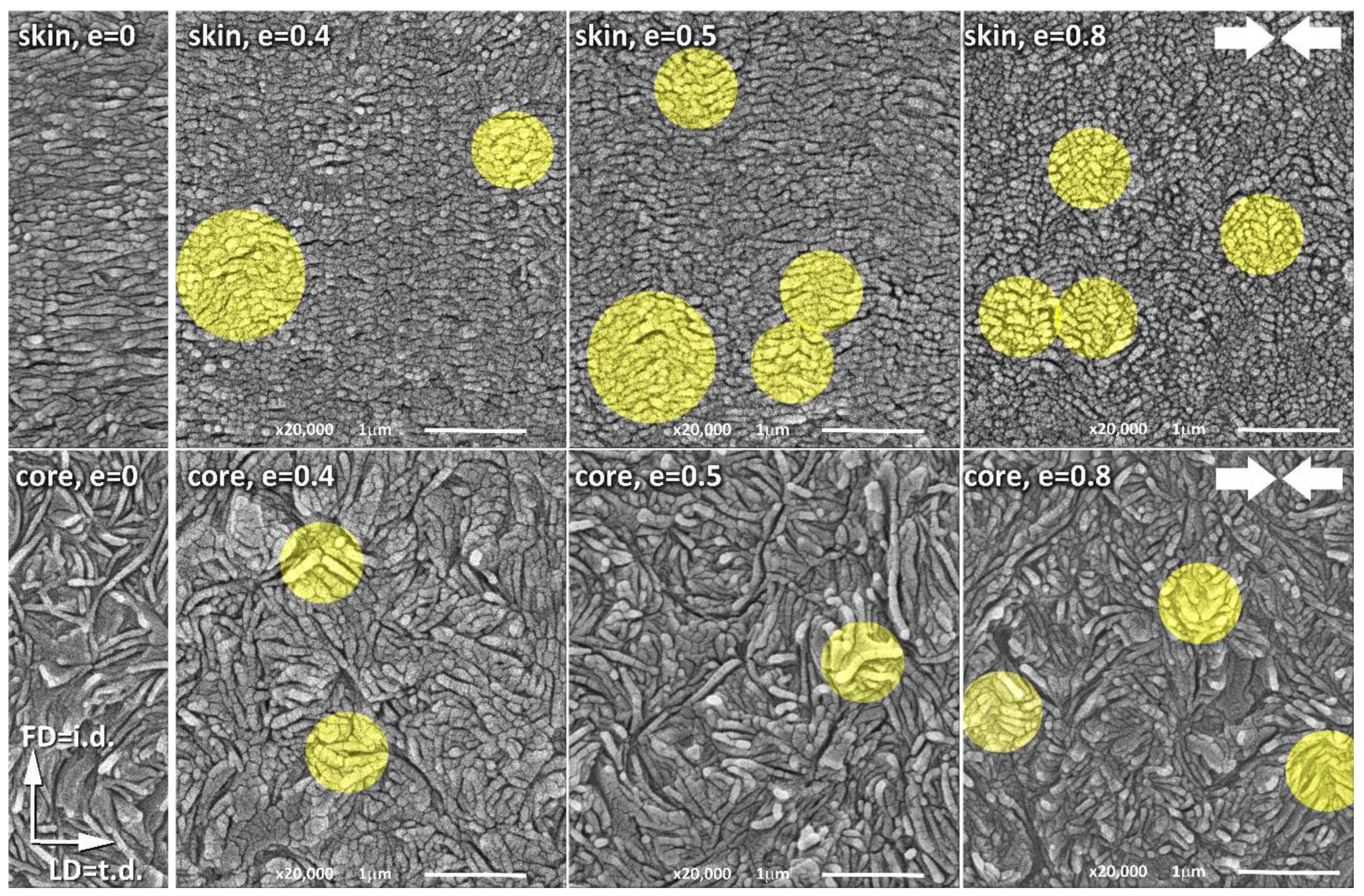 Polymers 12 02208 g010