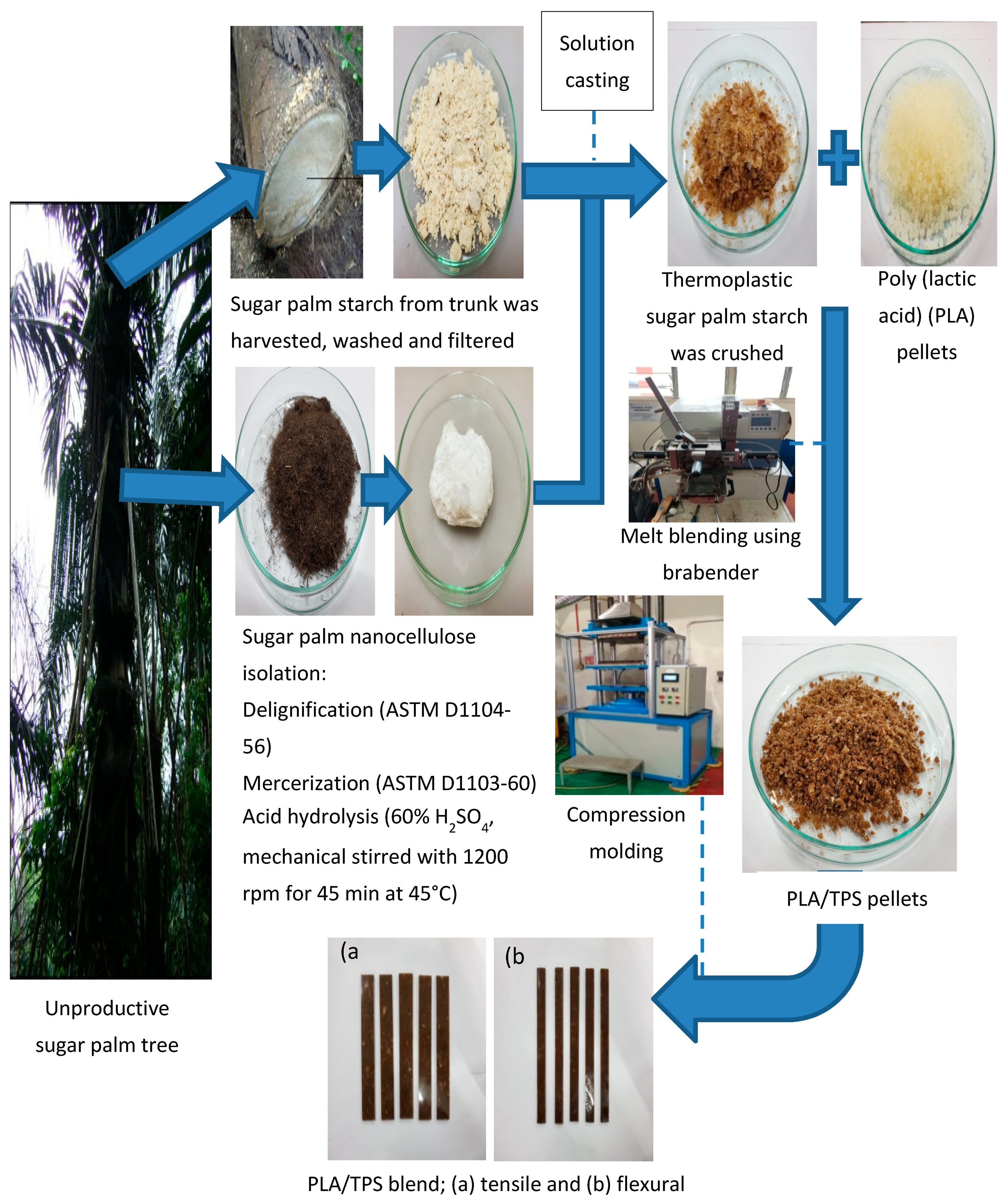 Polymers 12 02216 g001