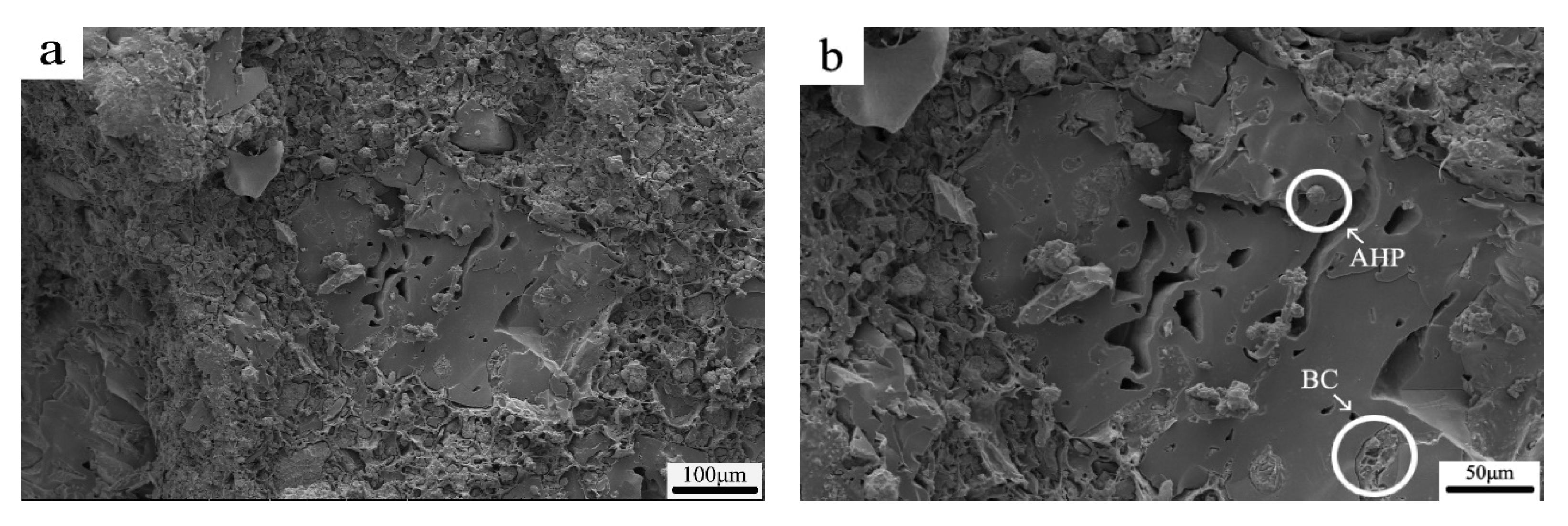 Polymers 12 02217 g009