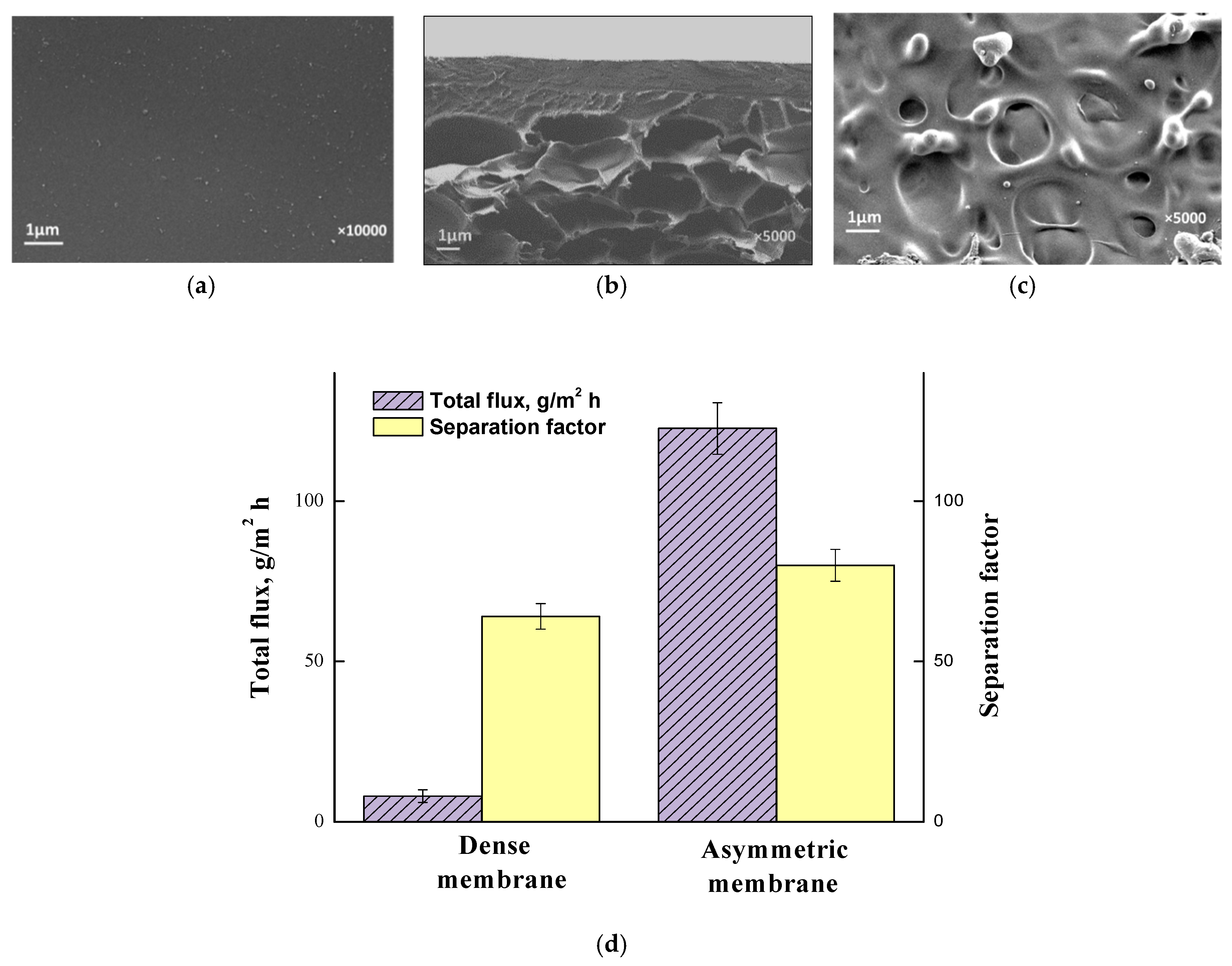 Polymers 12 02218 g004 Polymers 12 02218 g004