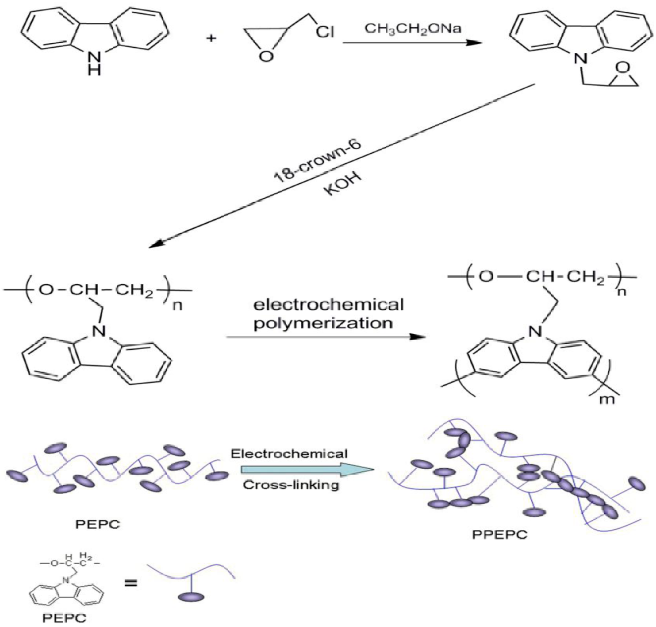 Polymers 12 02227 g017