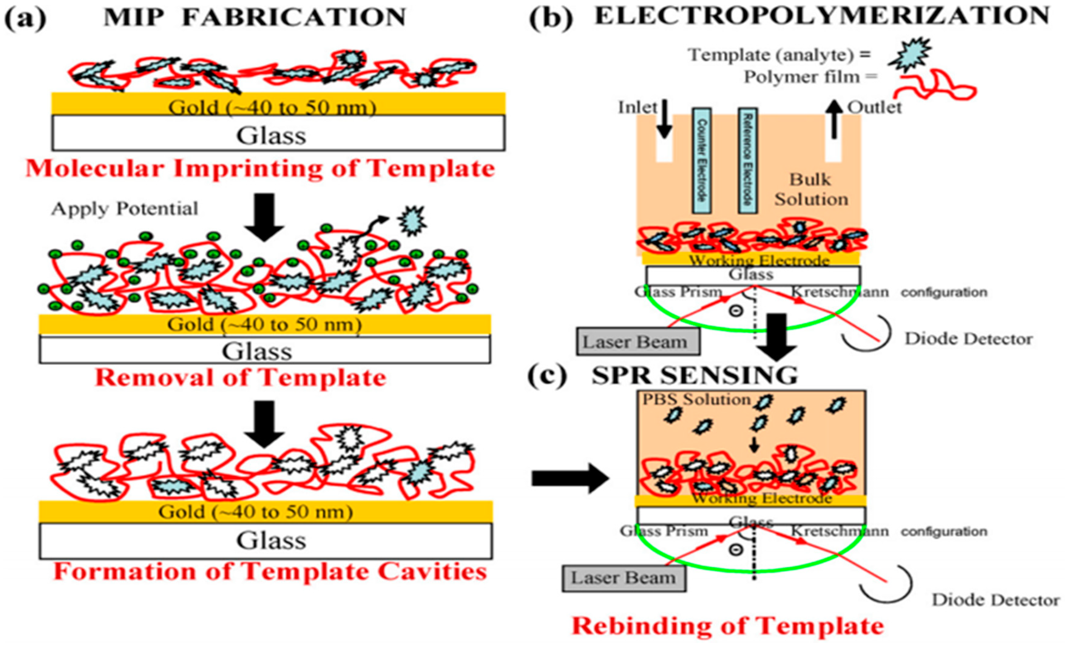 Polymers 12 02227 g020