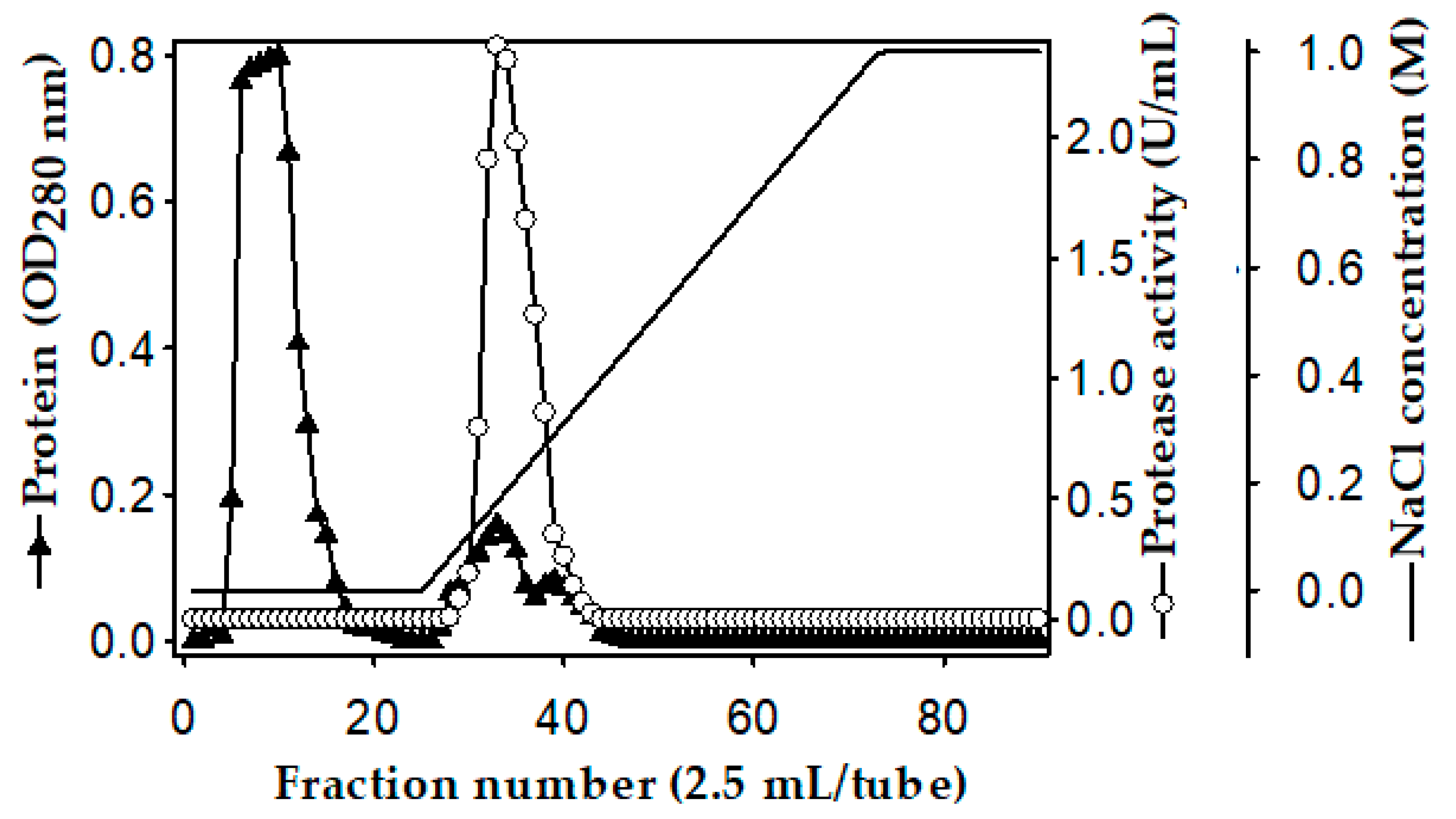 Polymers 12 02228 g002