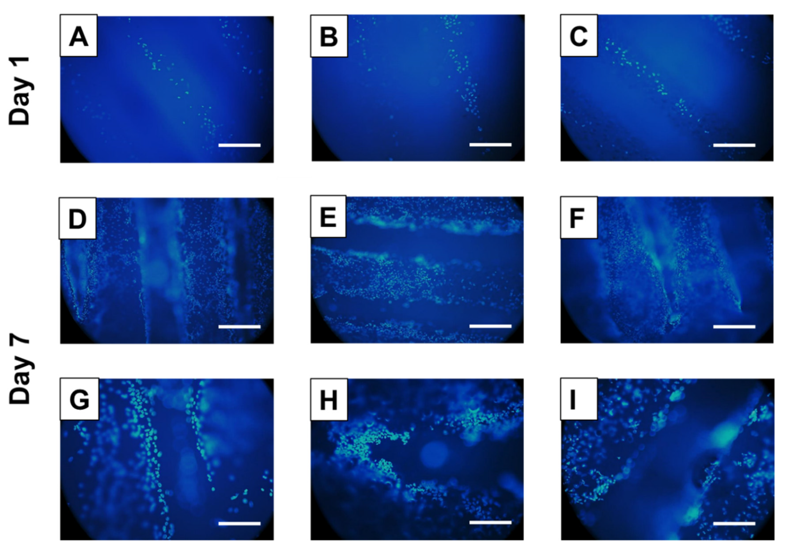 Polymers 12 02233 g008