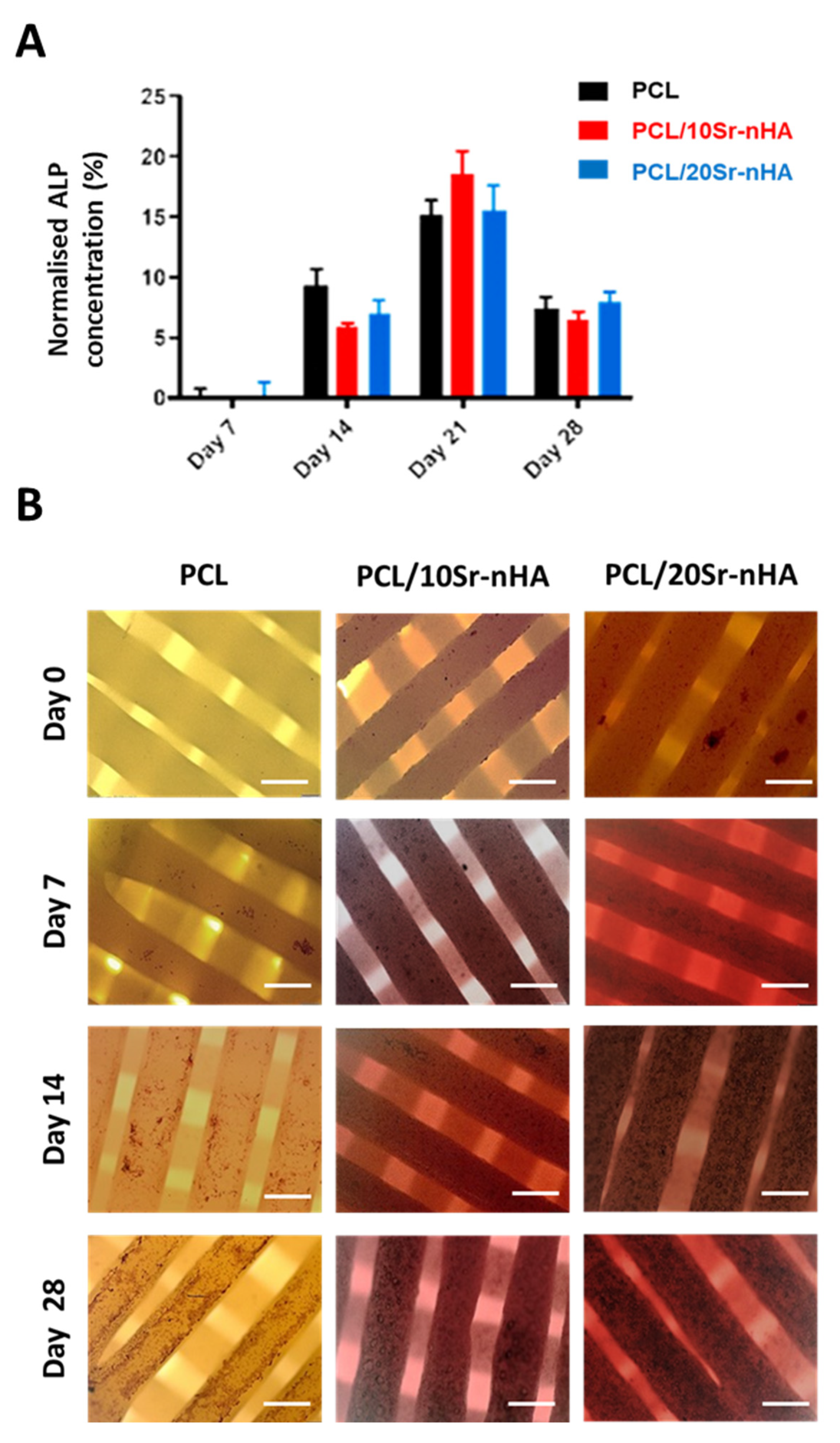 Polymers 12 02233 g010