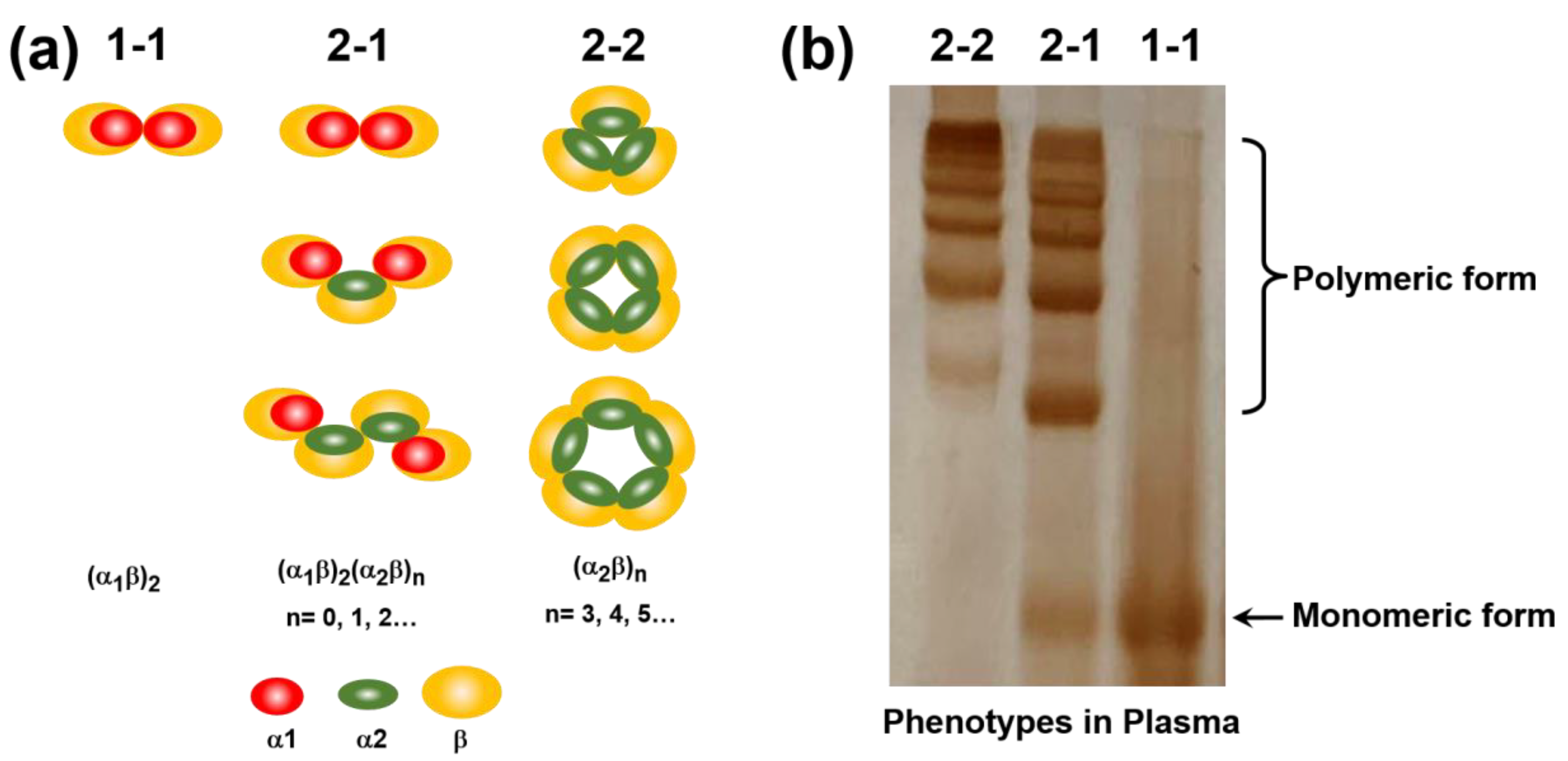 Polymers 12 02242 g006