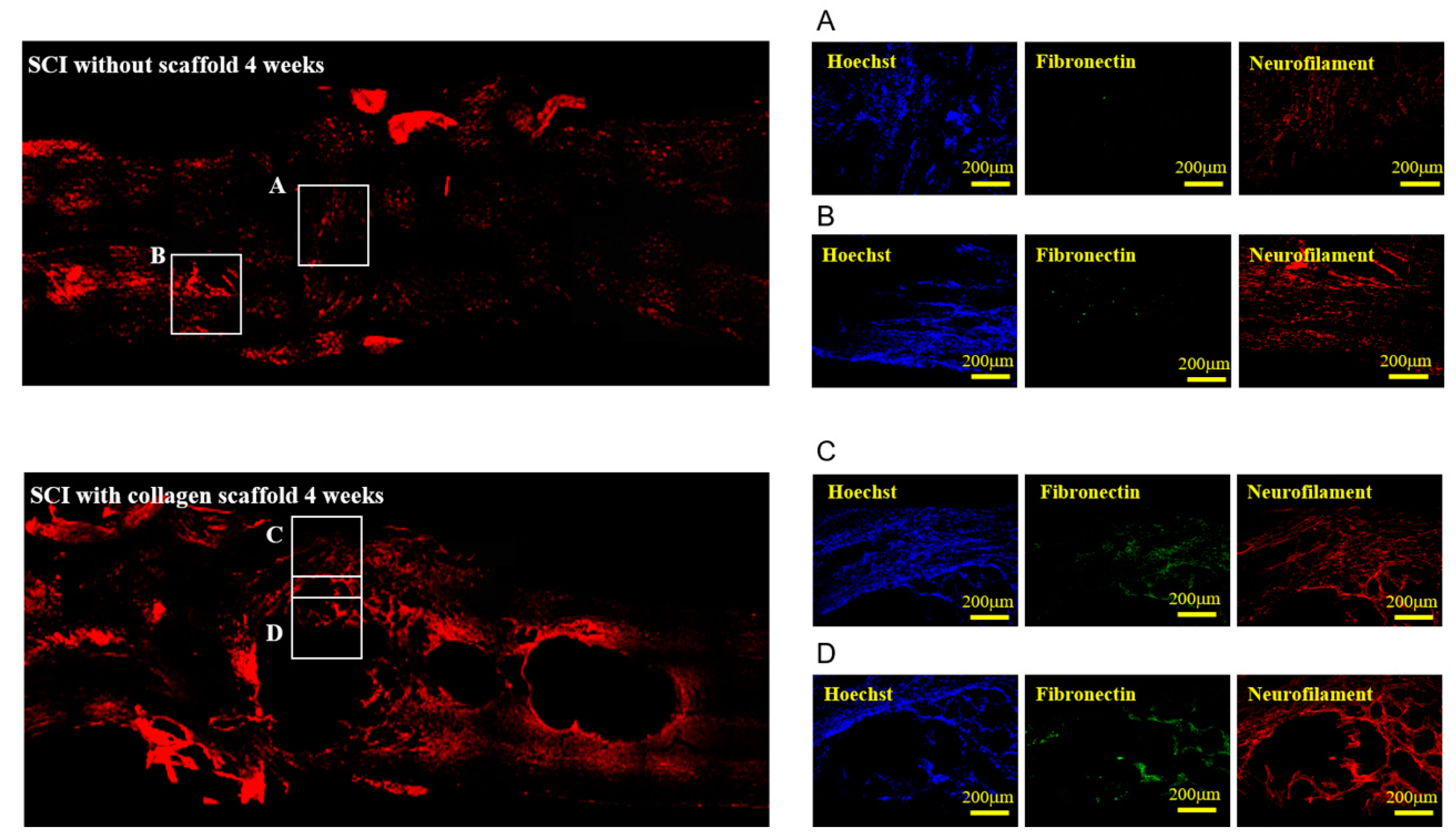 Polymers 12 02245 g007
