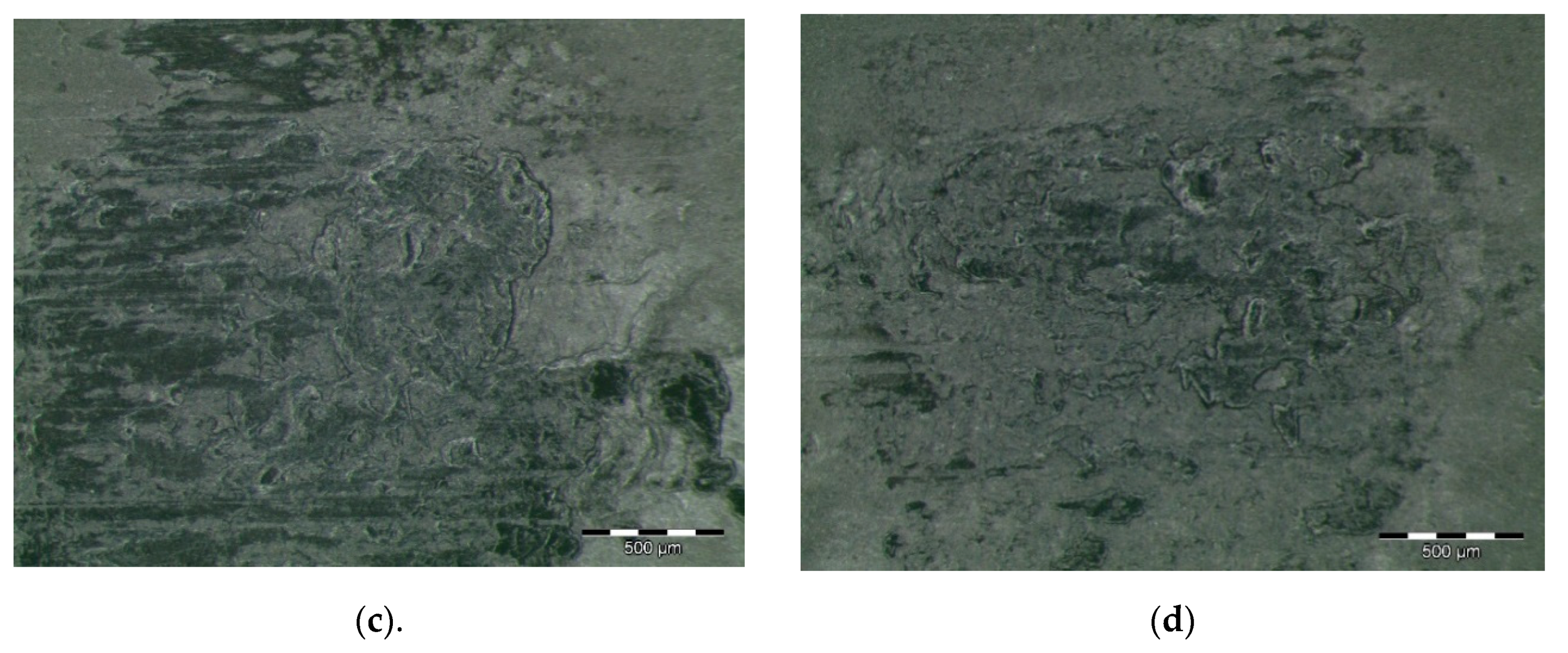 Polymers 12 02253 g003b
