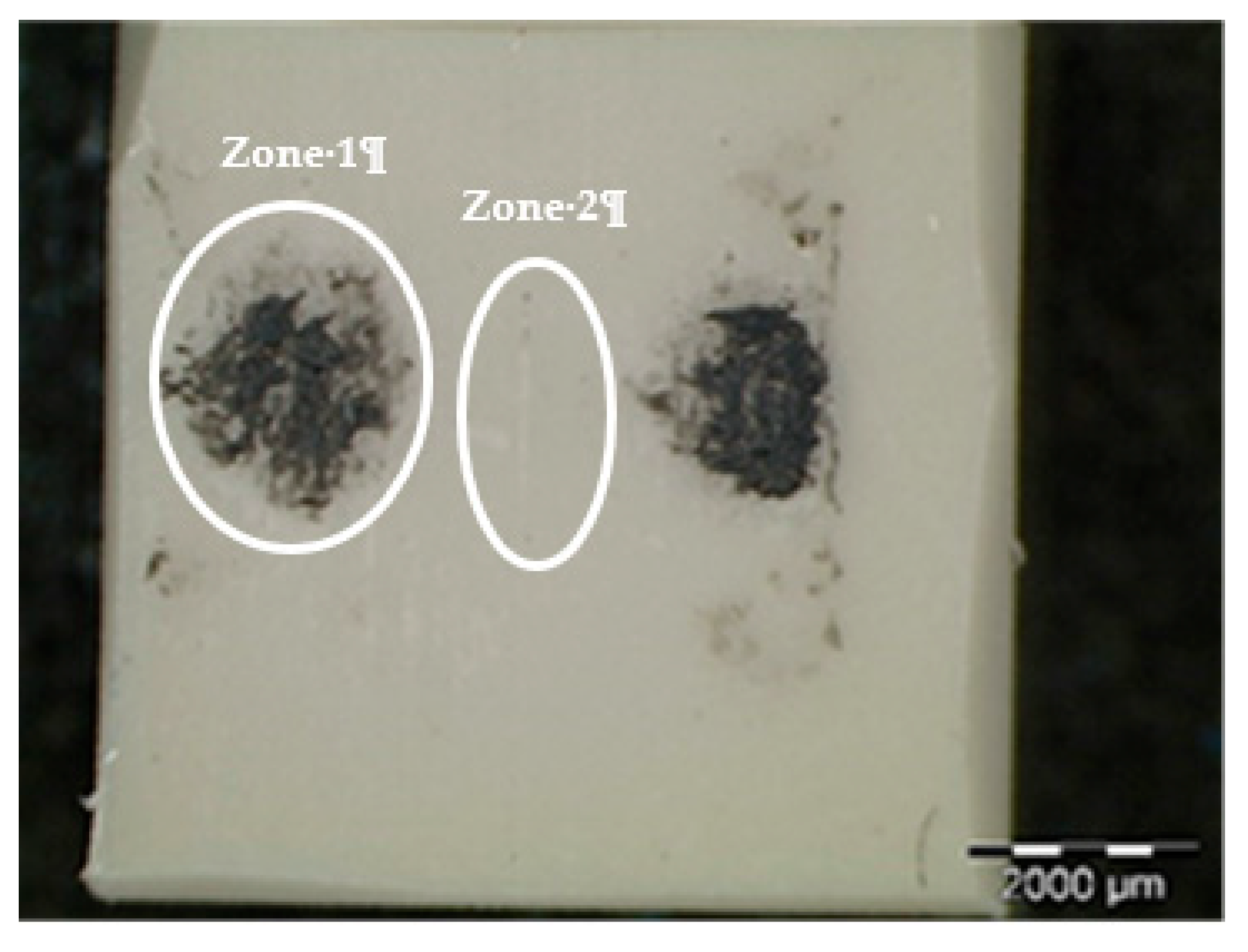 Polymers 12 02253 g012