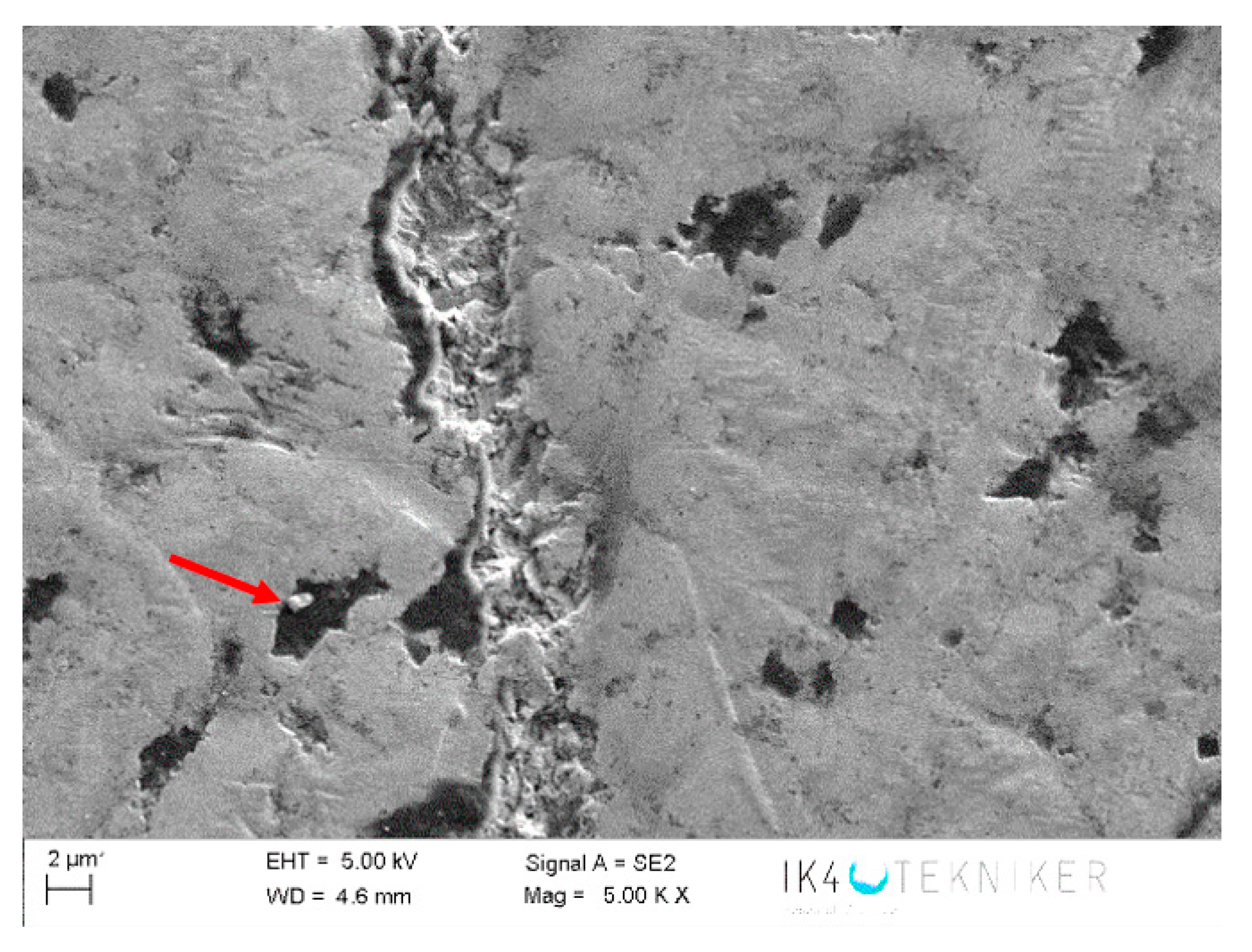 Polymers 12 02253 g019