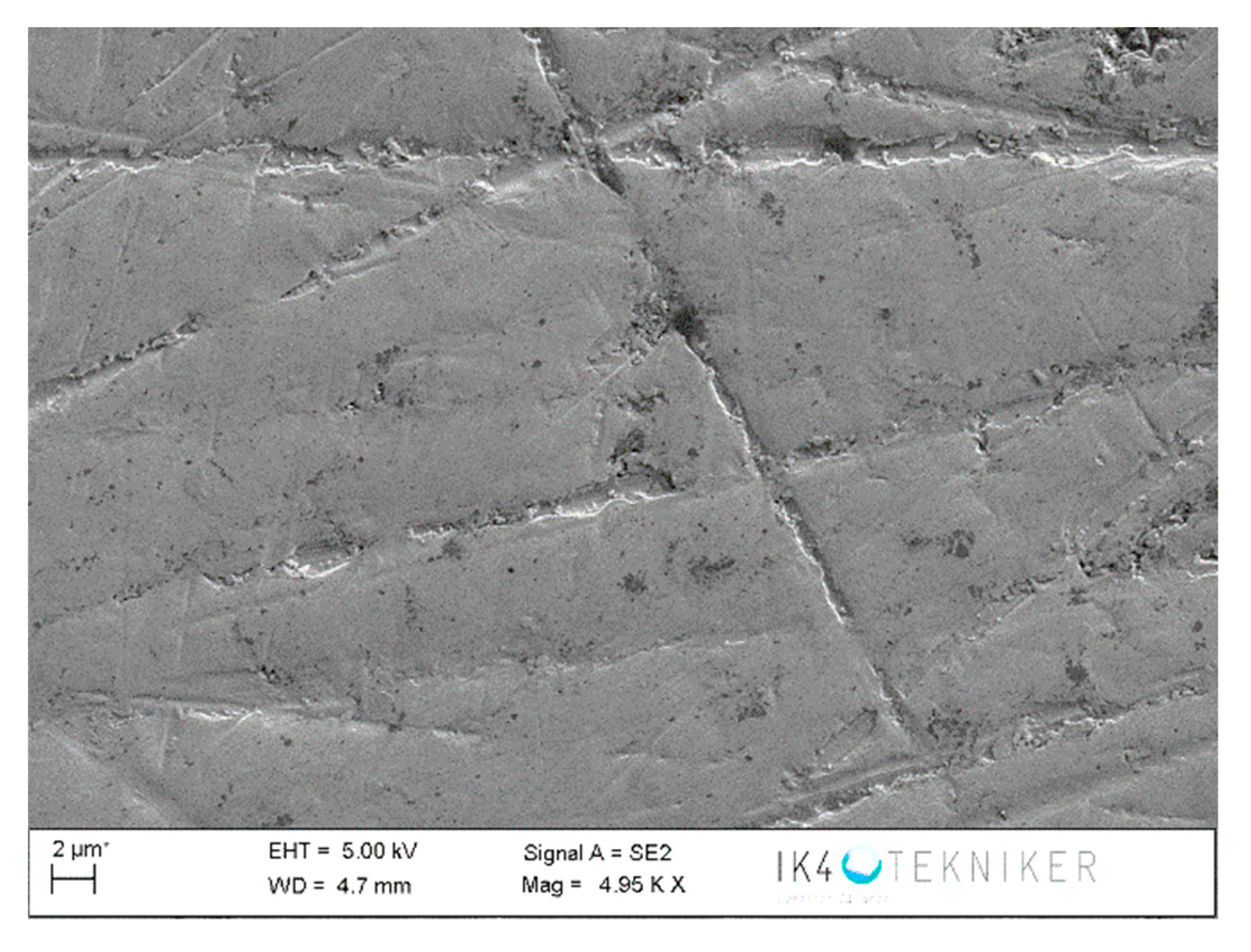 Polymers 12 02253 g020