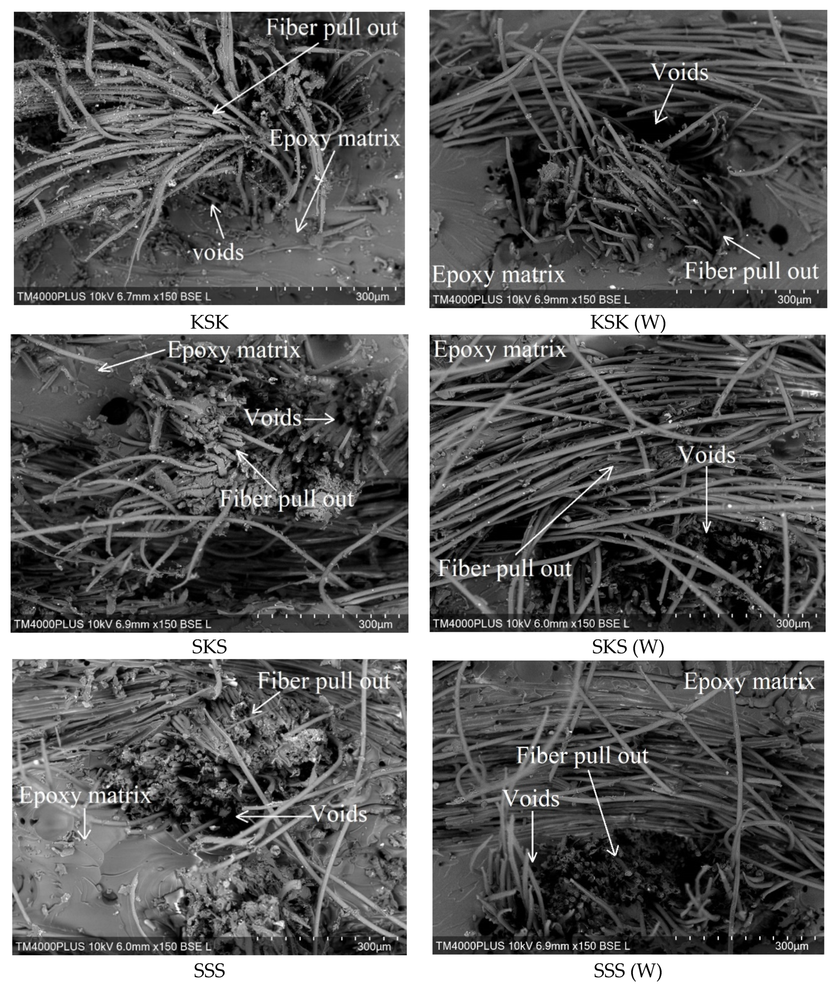 Polymers 12 02254 g004b