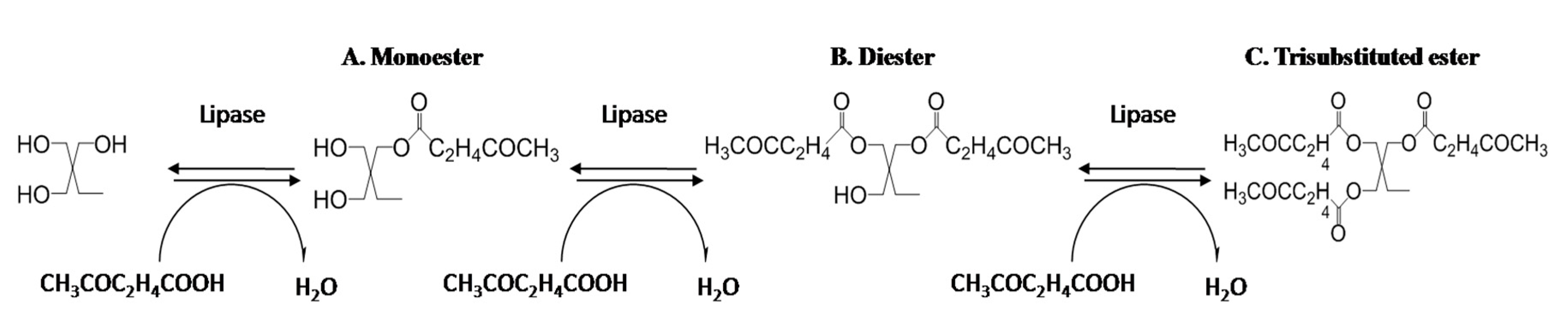 Polymers 12 02256 g001