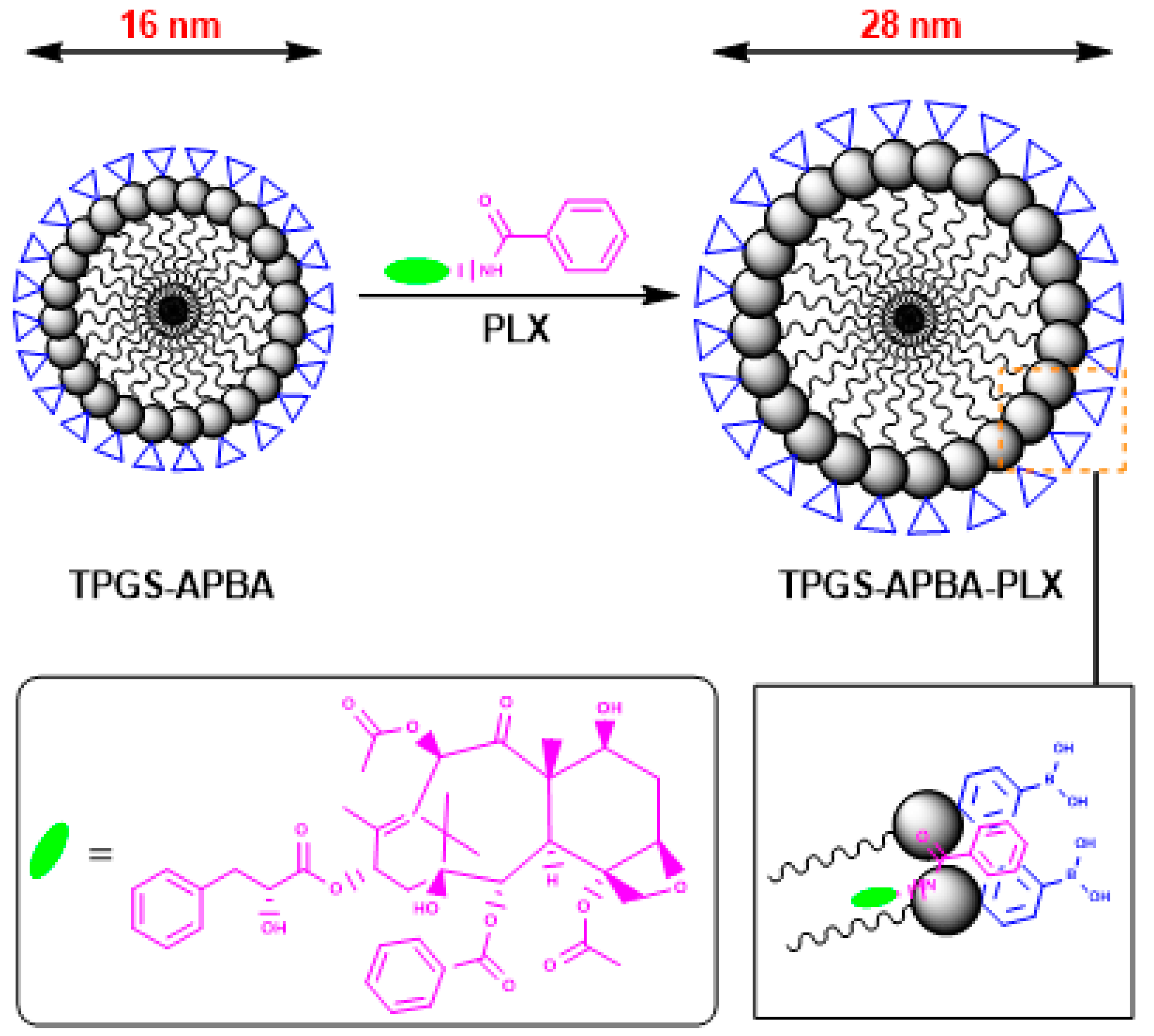 Polymers 12 02258 g004