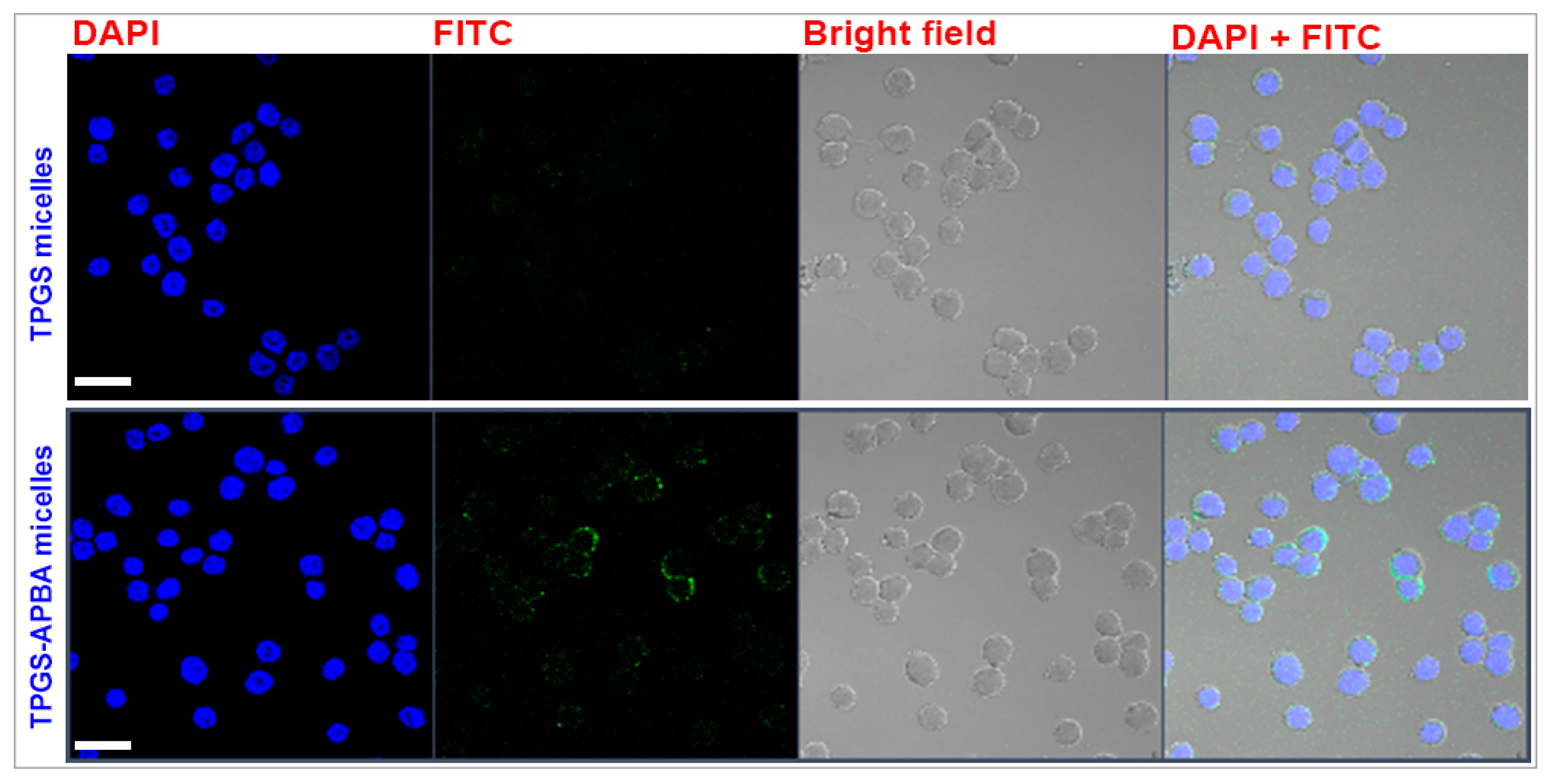 Polymers 12 02258 g006