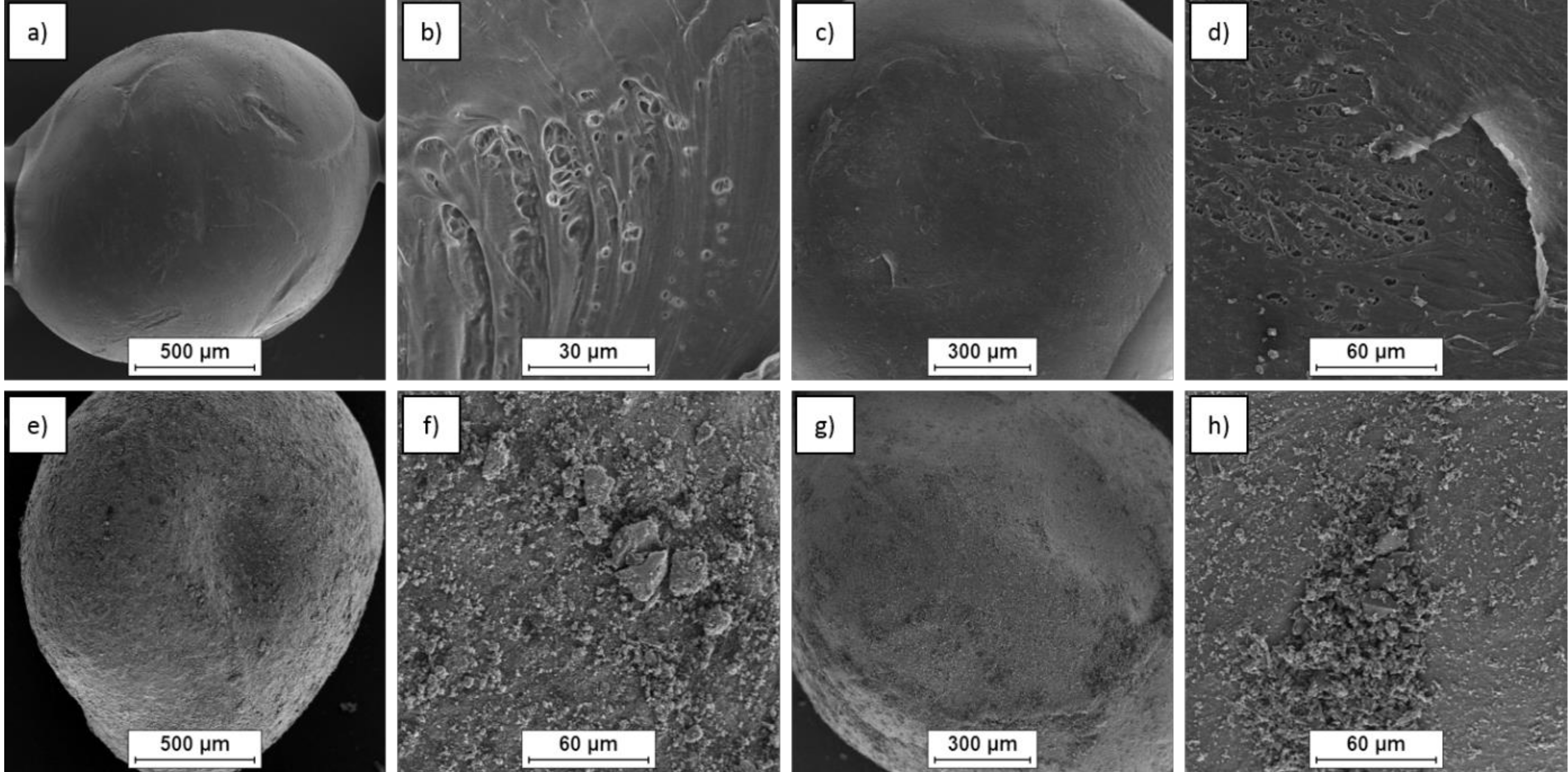 Polymers 12 02264 g003 Polymers 12 02264 g003