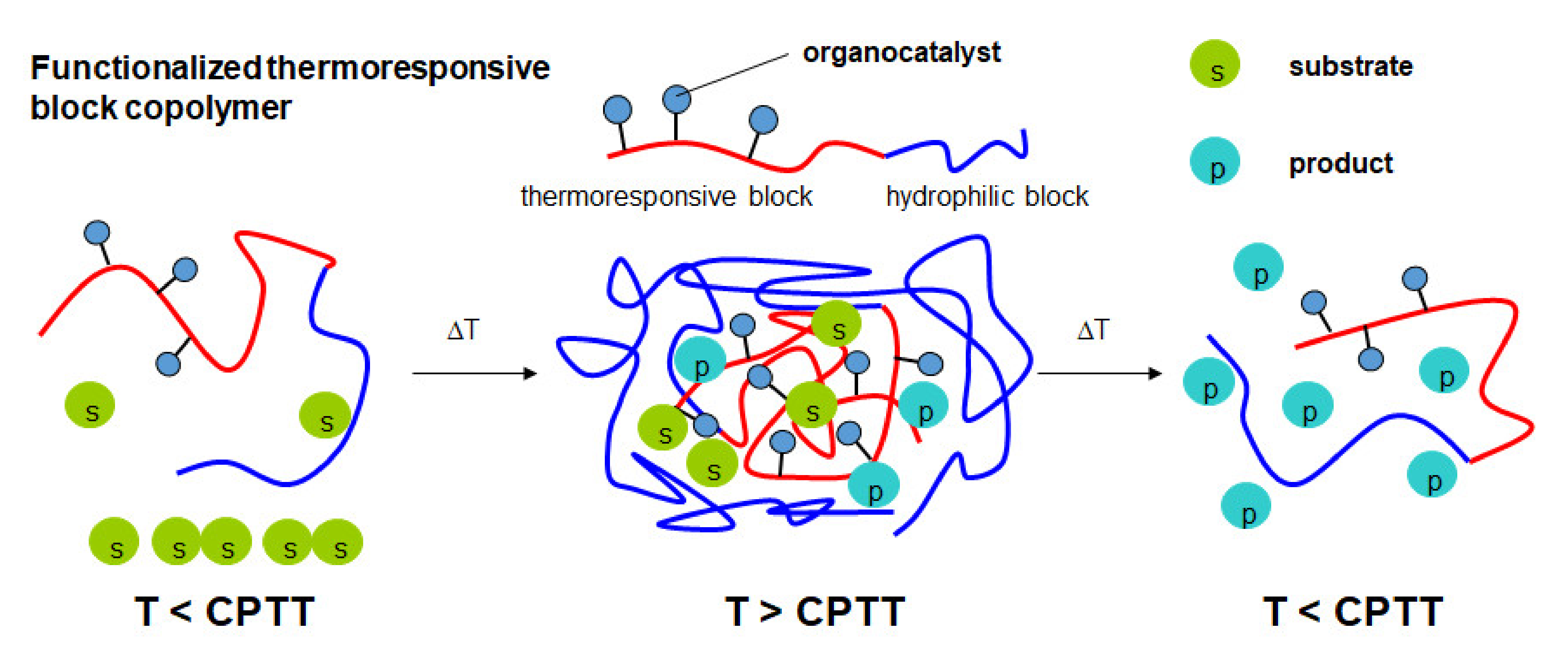 Polymers 12 02265 g002