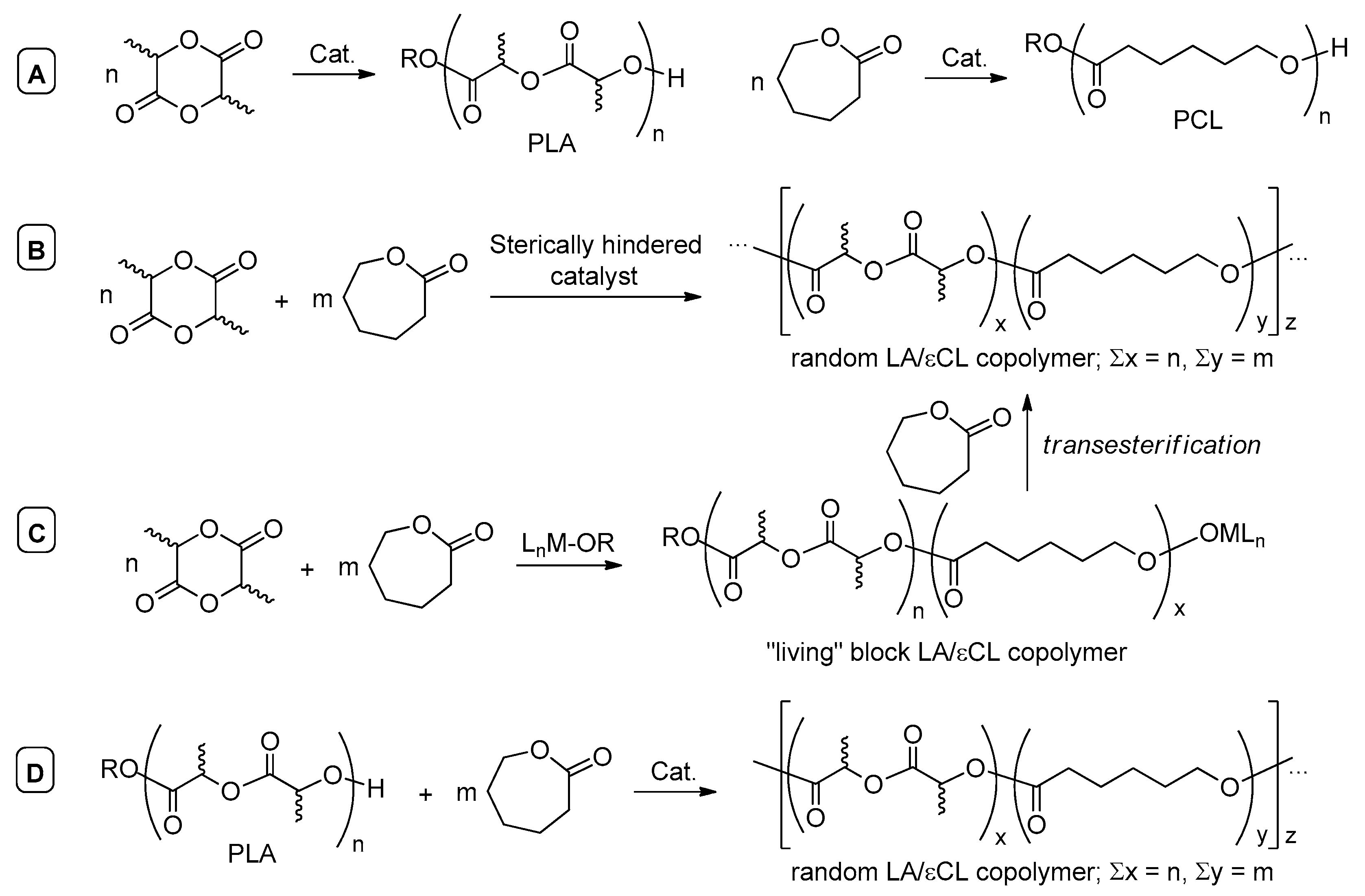 Polymers 12 02273 sch002 Polymers 12 02273 sch002