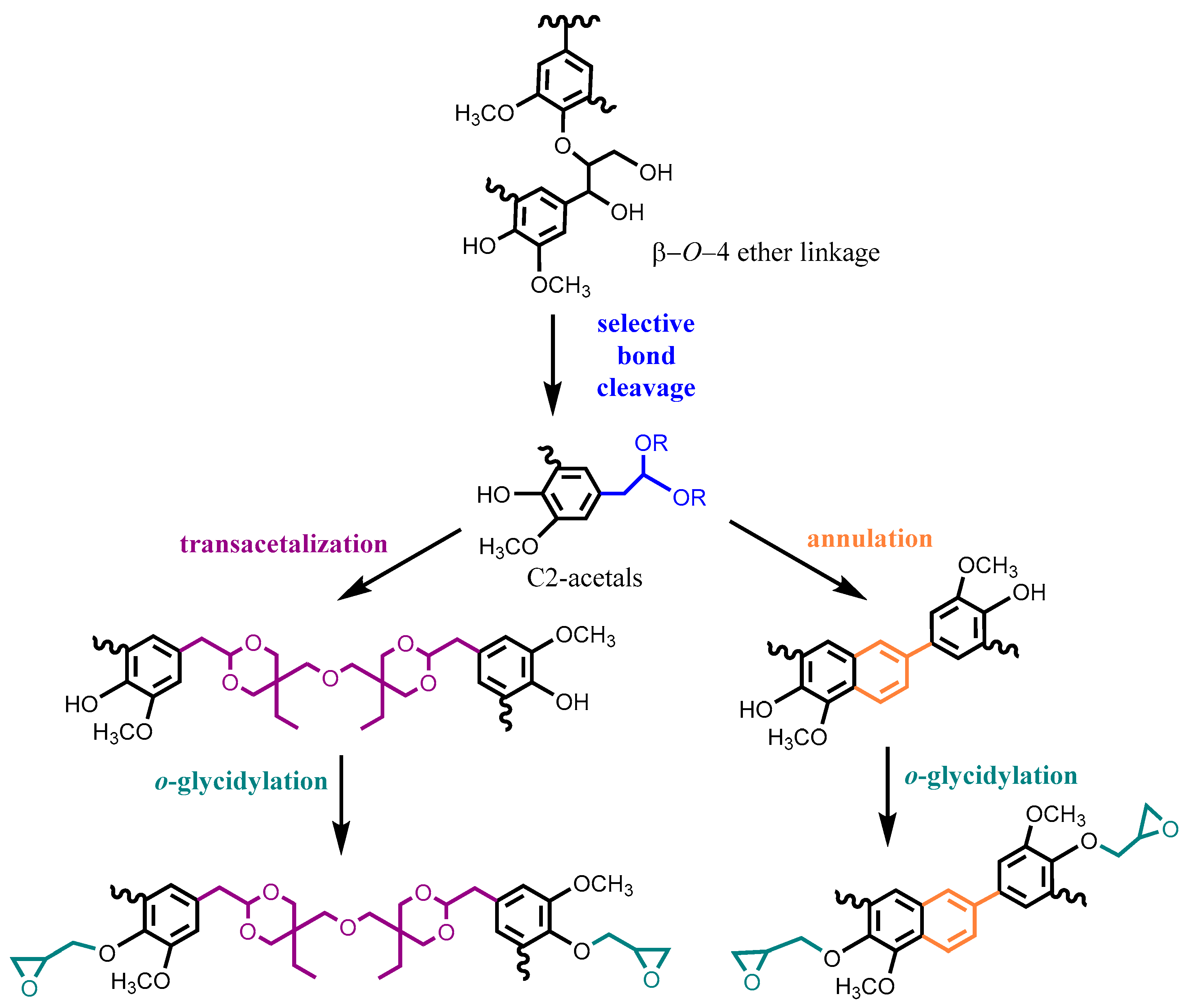 Polymers 12 02277 g005