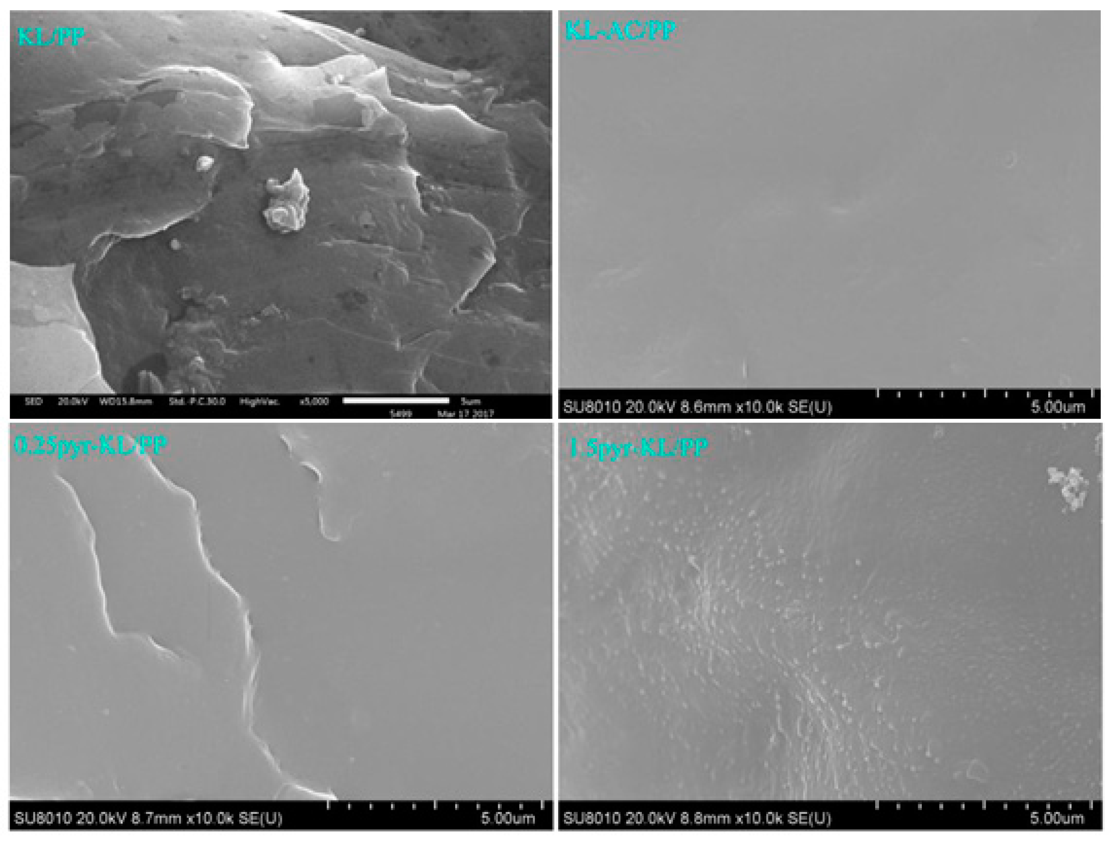 Polymers 12 02277 g008