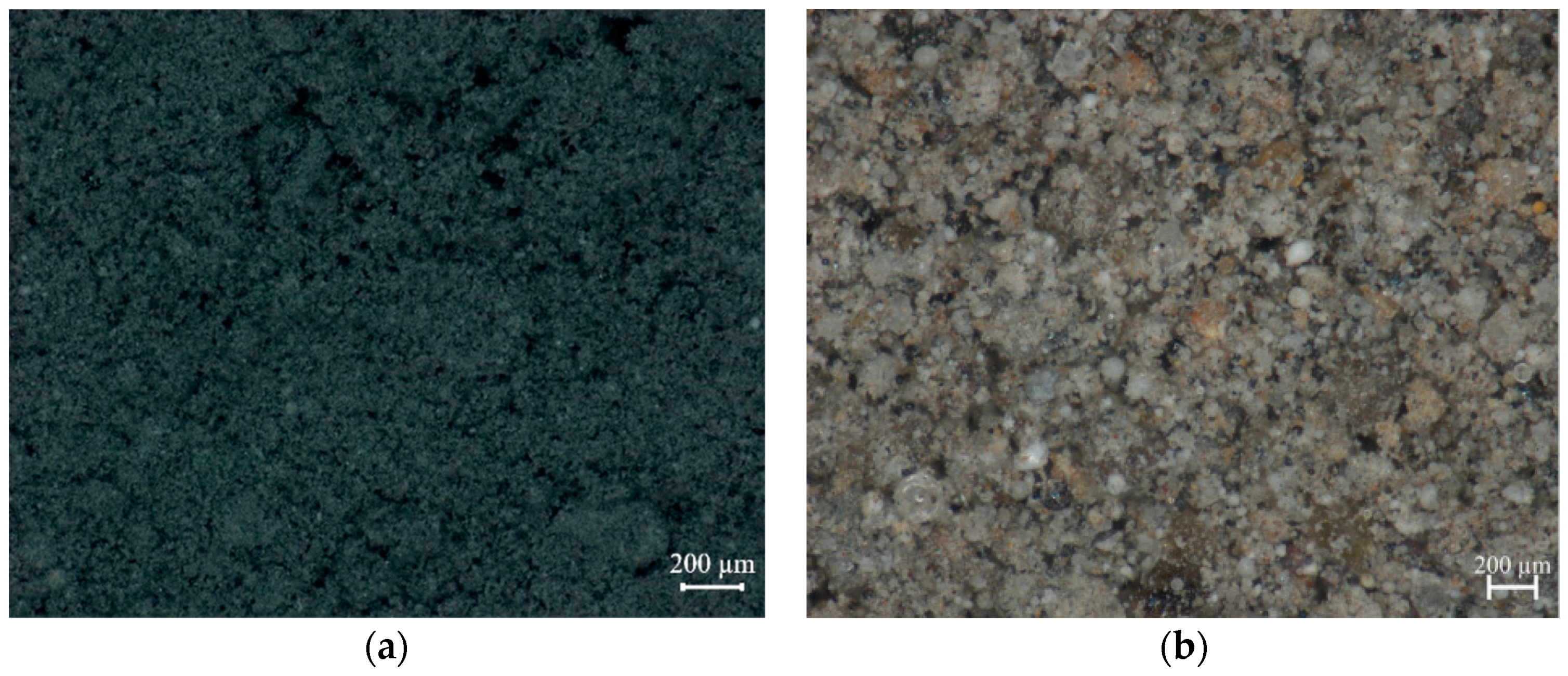 Polymers 12 02287 g003a Polymers 12 02287 g003a