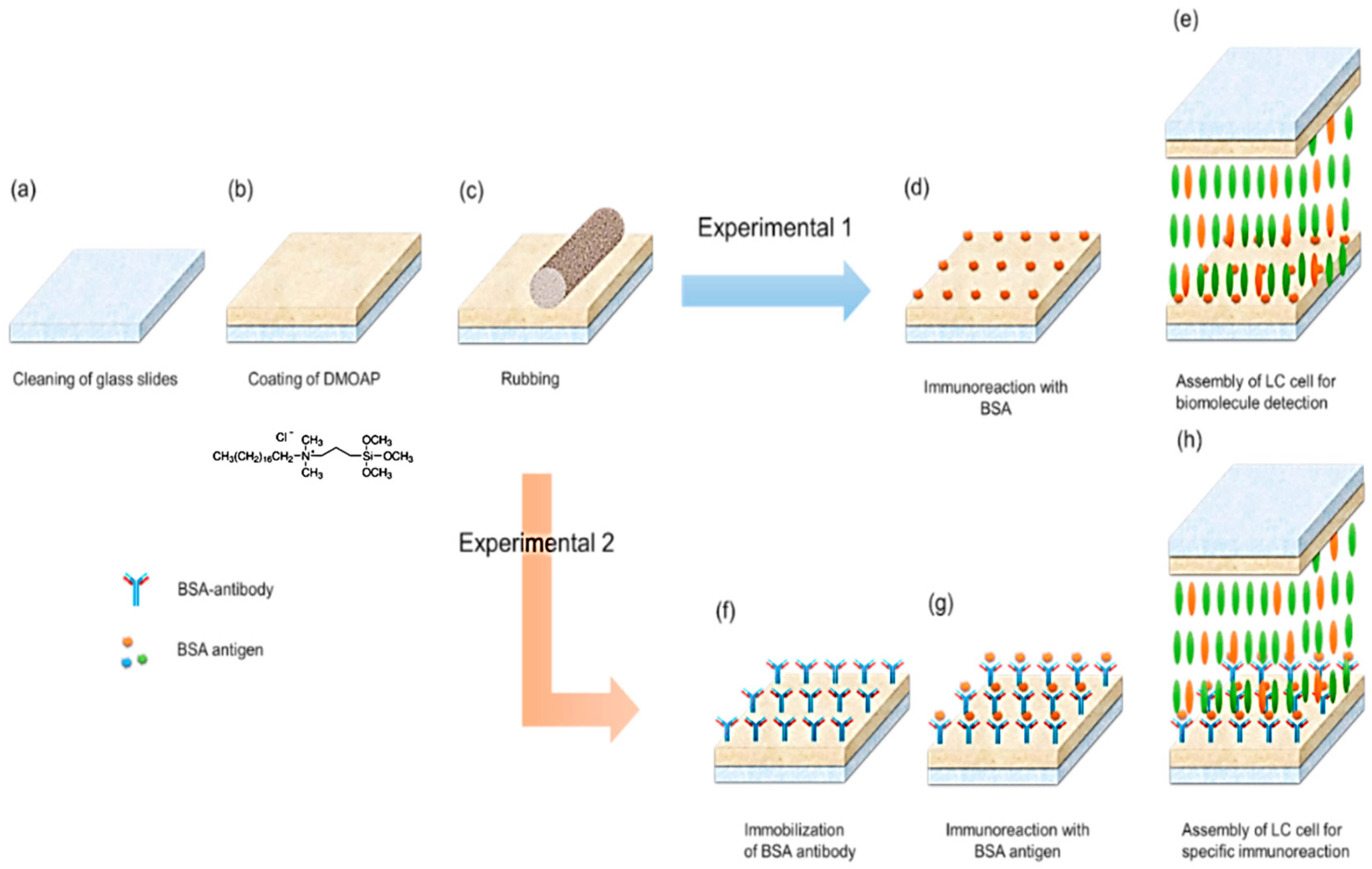 Polymers 12 02294 g002 Polymers 12 02294 g002
