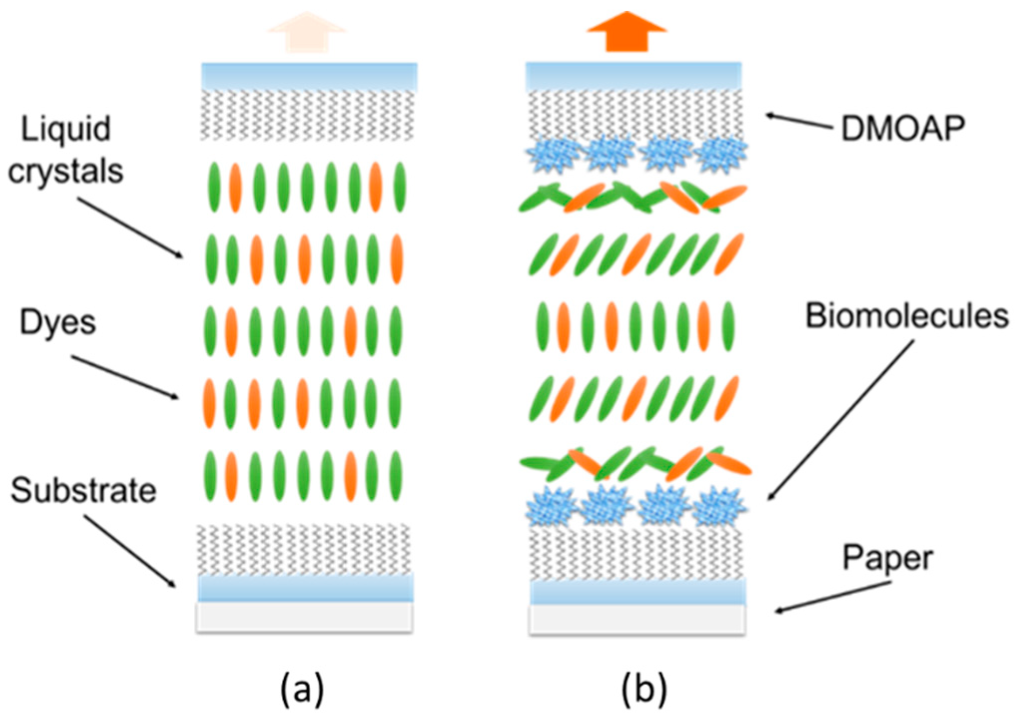 Polymers 12 02294 g003 Polymers 12 02294 g003