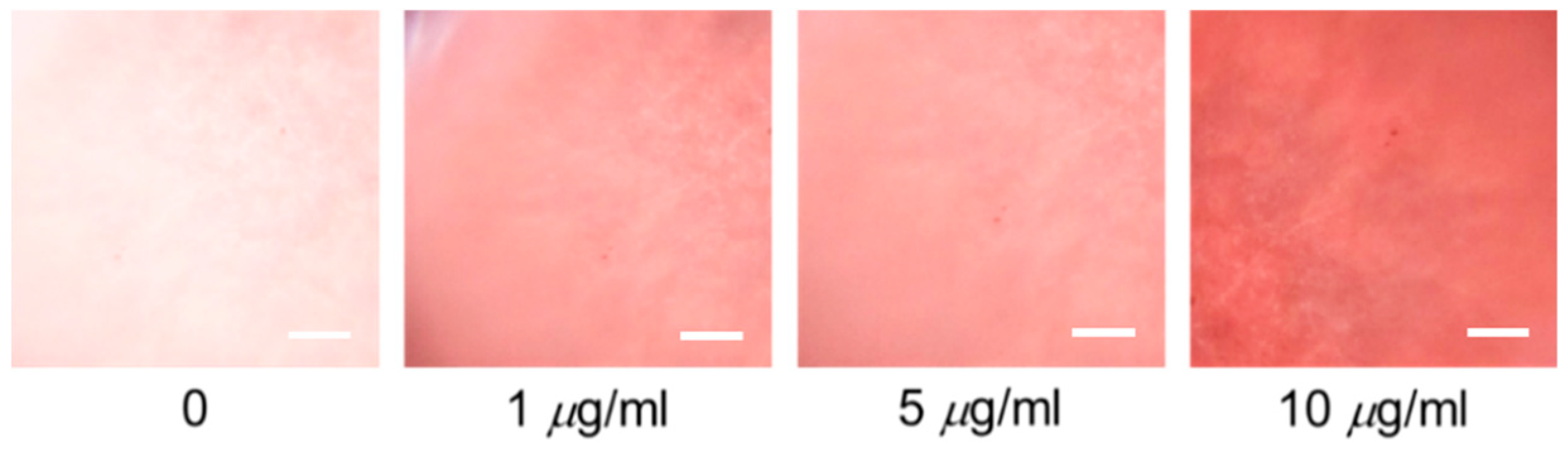 Polymers 12 02294 g005 Polymers 12 02294 g005