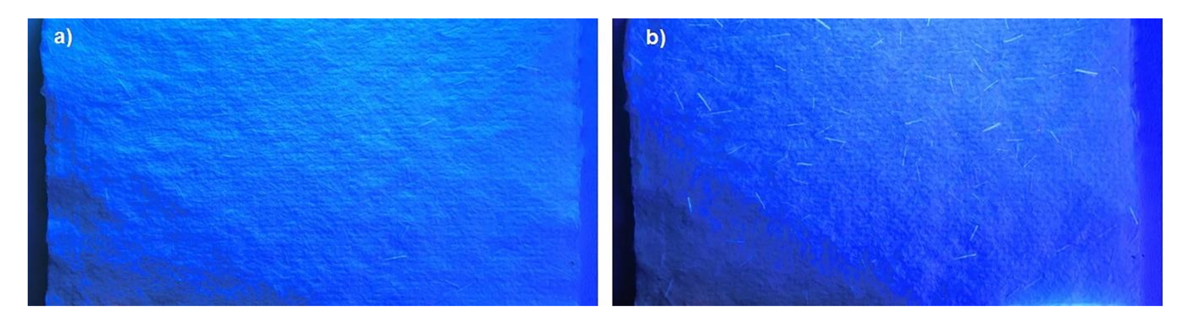 Polymers 12 02296 g004