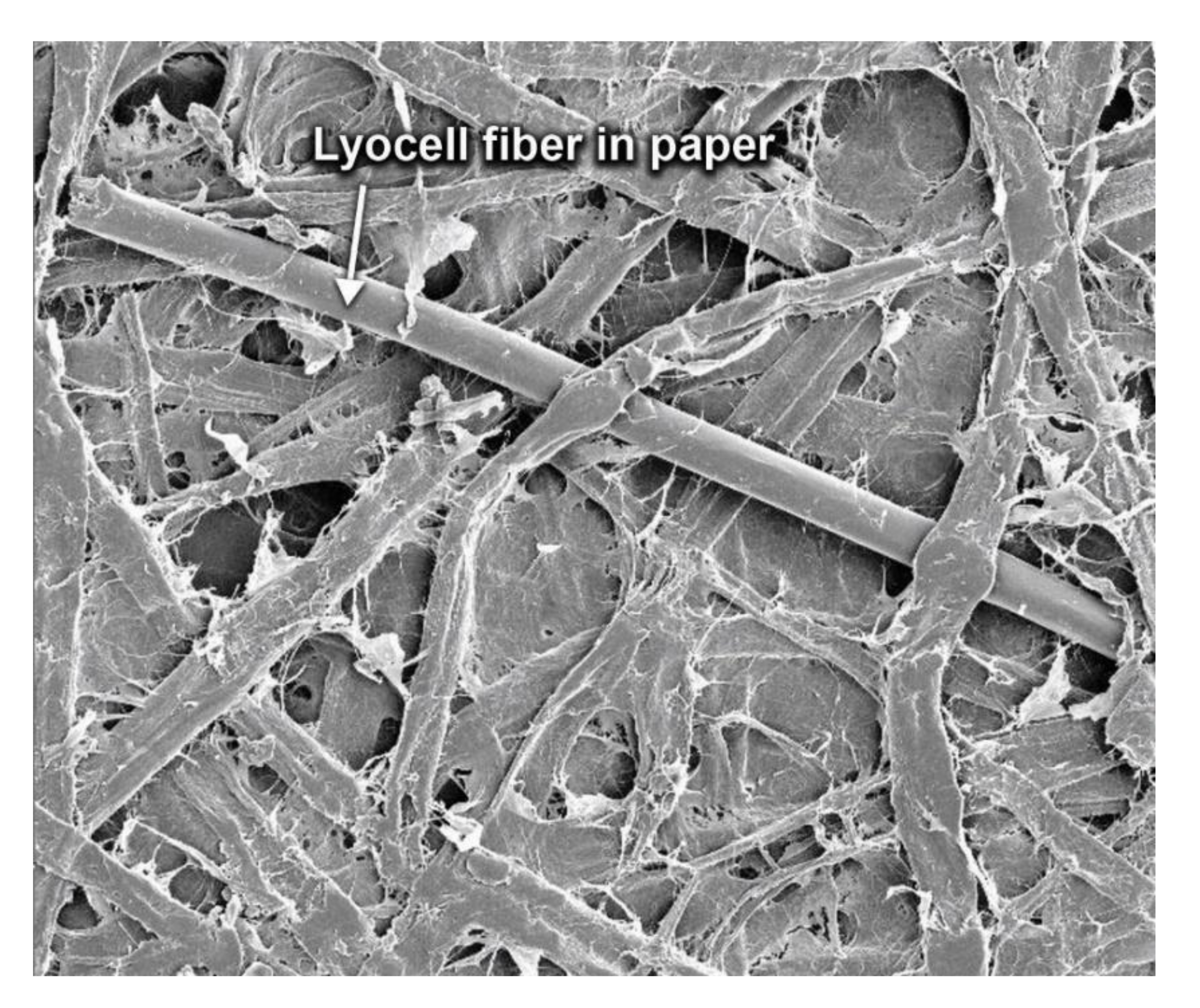 Polymers 12 02296 g005