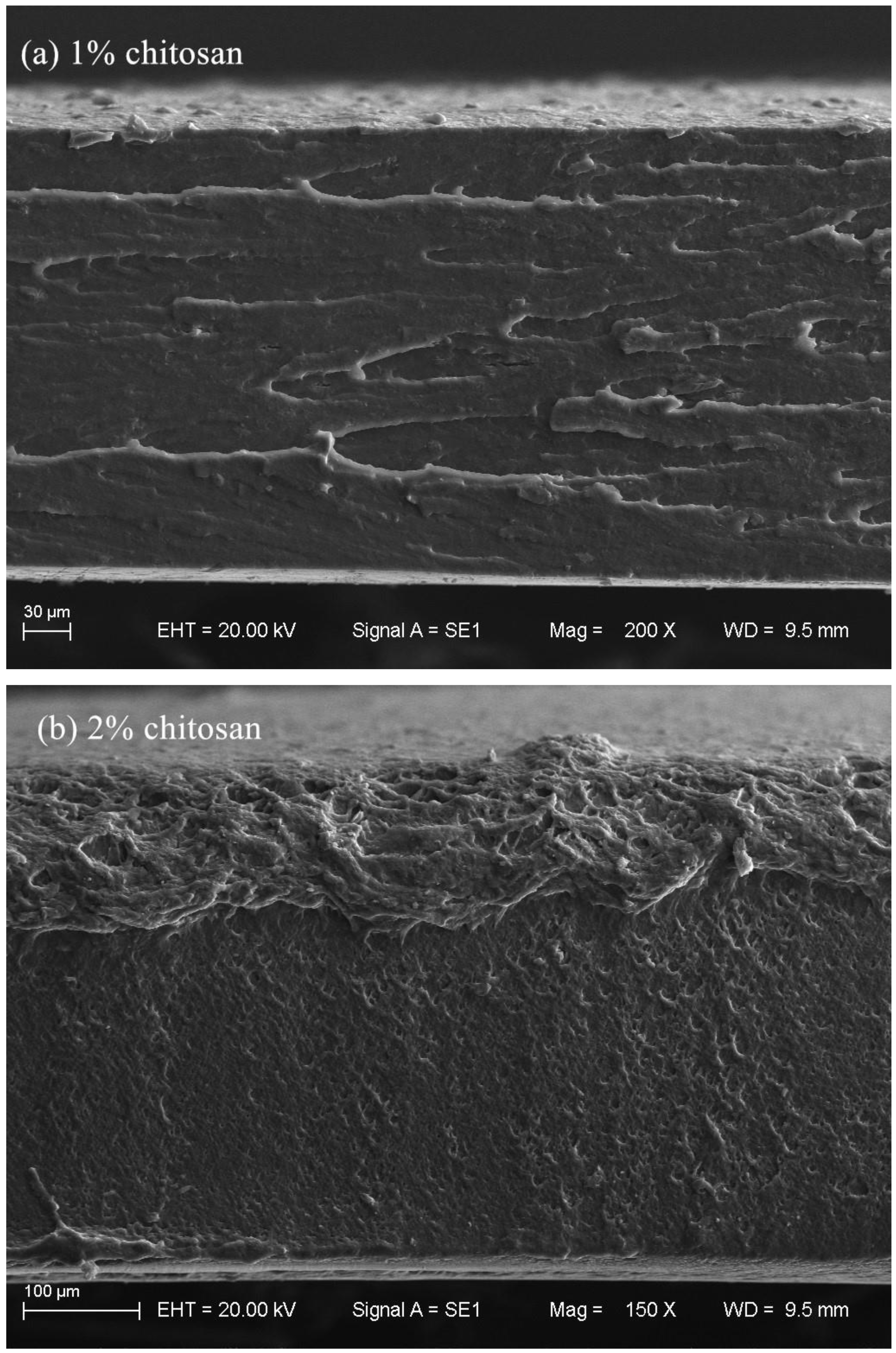 Polymers 12 02310 g006a