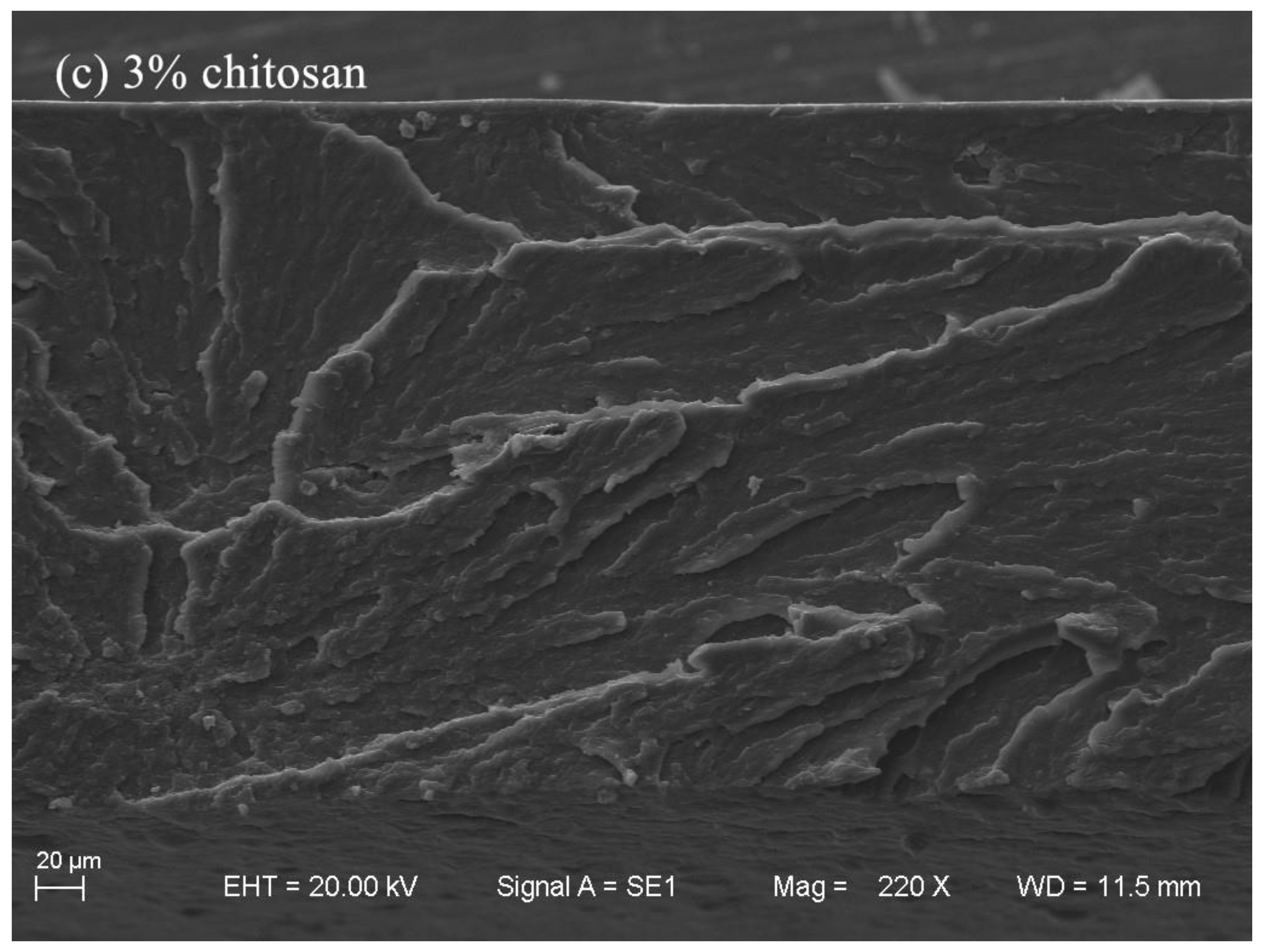 Polymers 12 02310 g006b