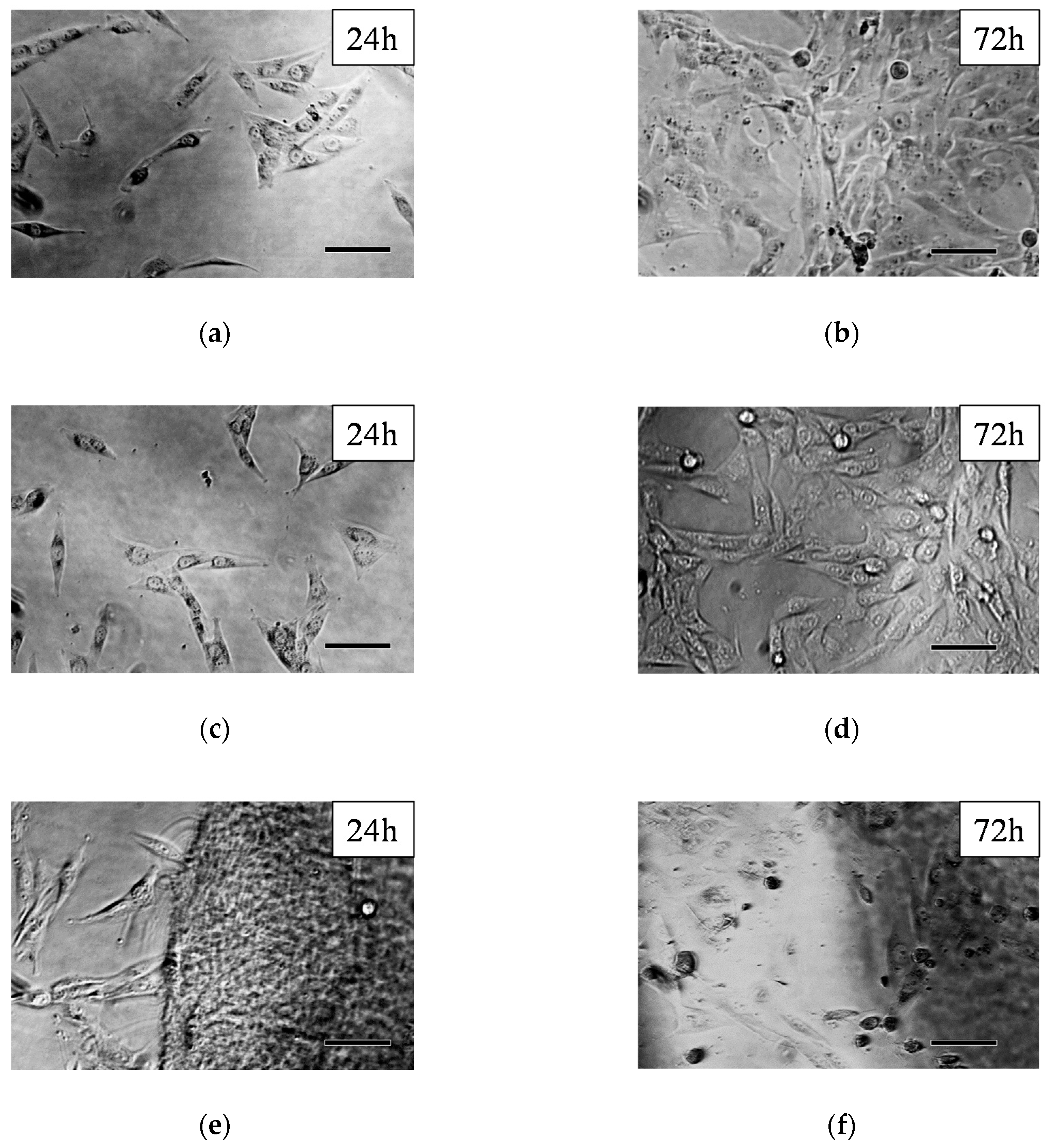 Polymers 12 02324 g005