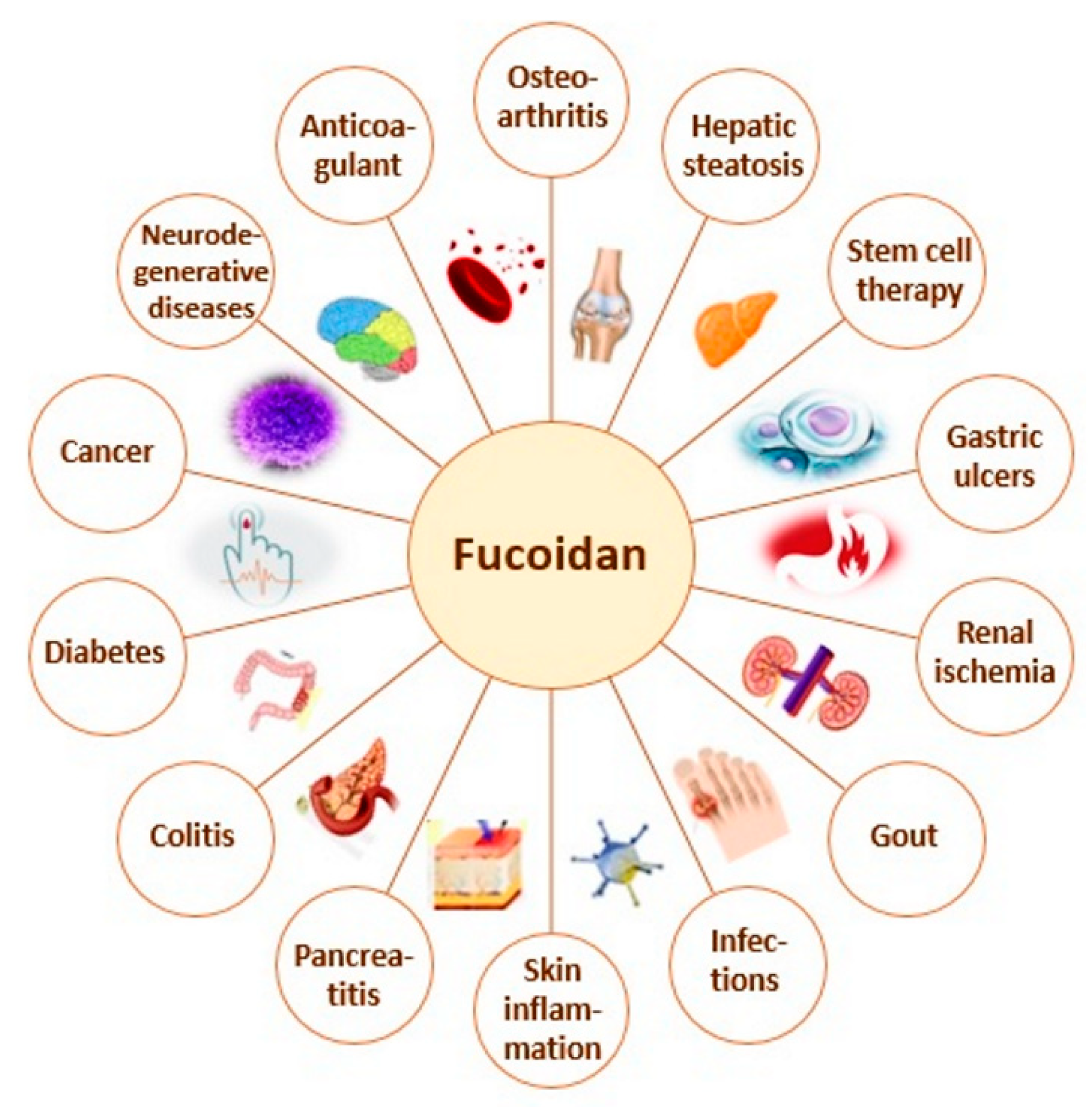 Polymers 12 02338 g001