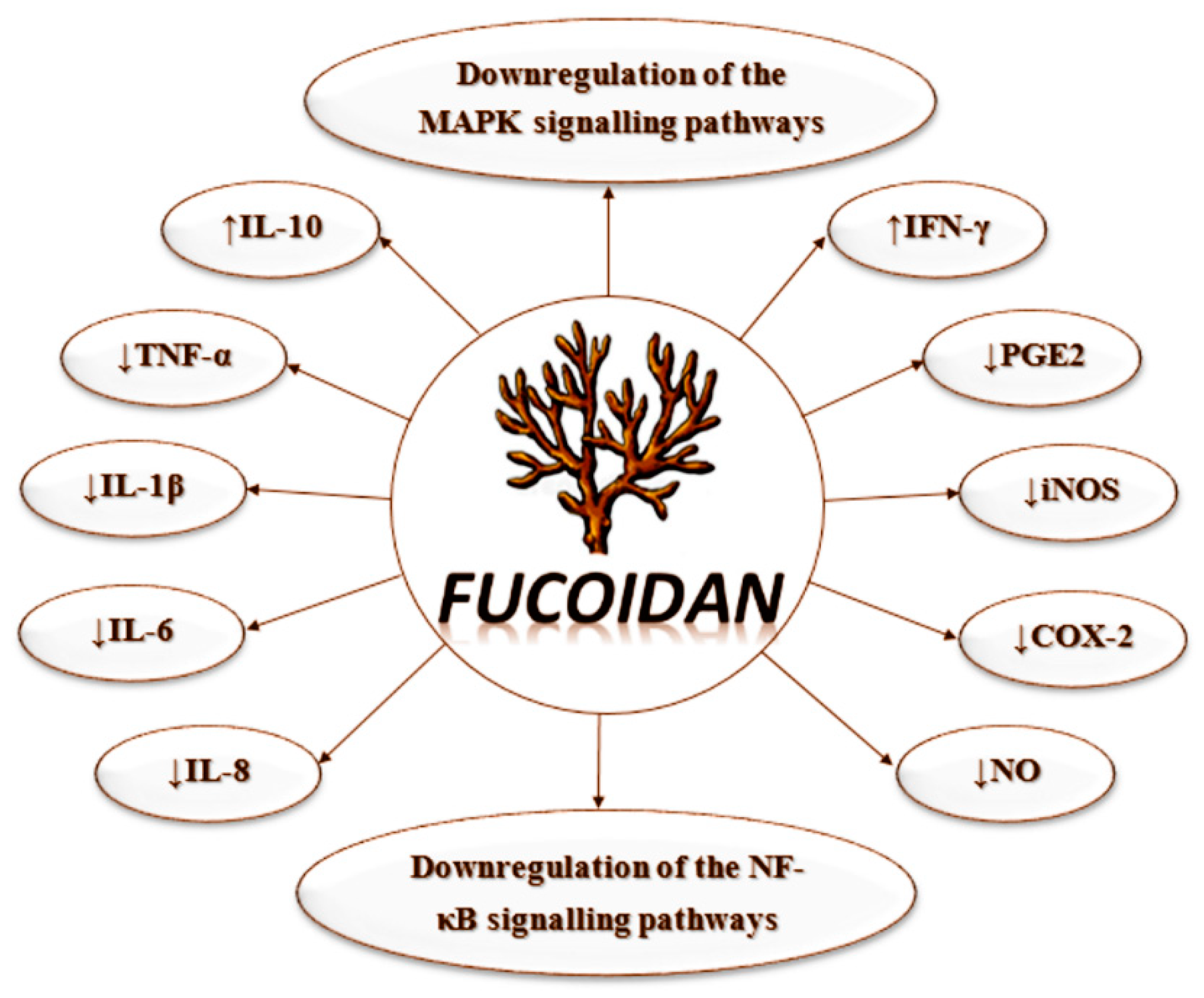 Polymers 12 02338 g003