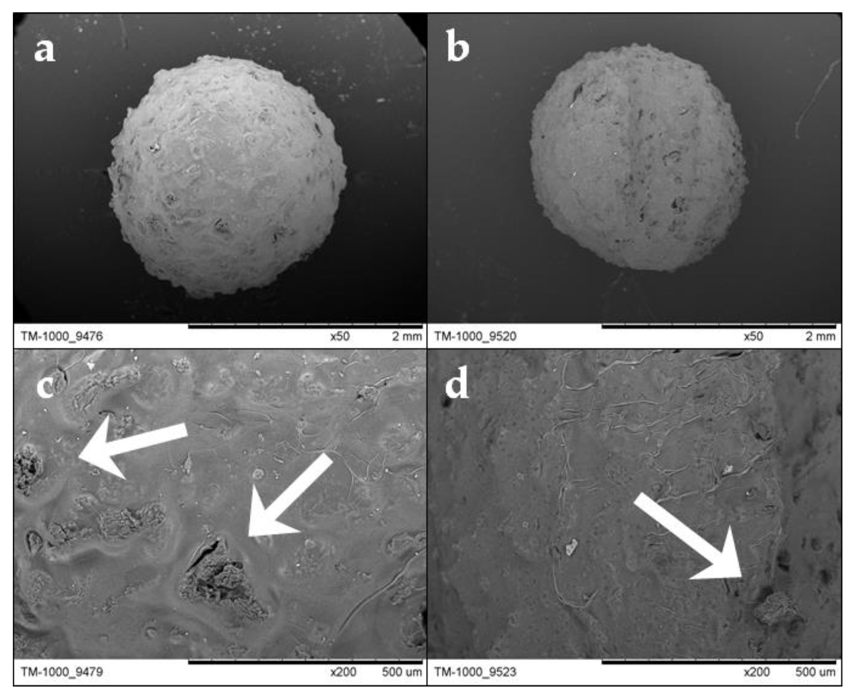 Polymers 12 02345 g004