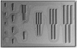 Polymers 12 02359 i010