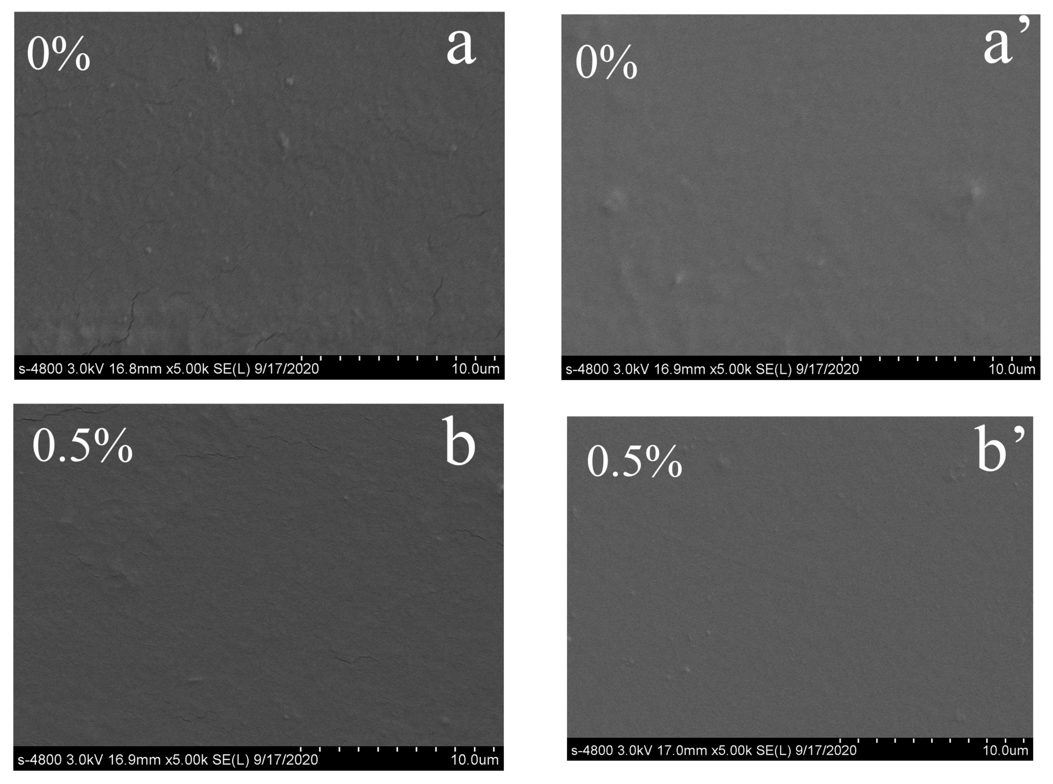 Polymers 12 02360 g005a